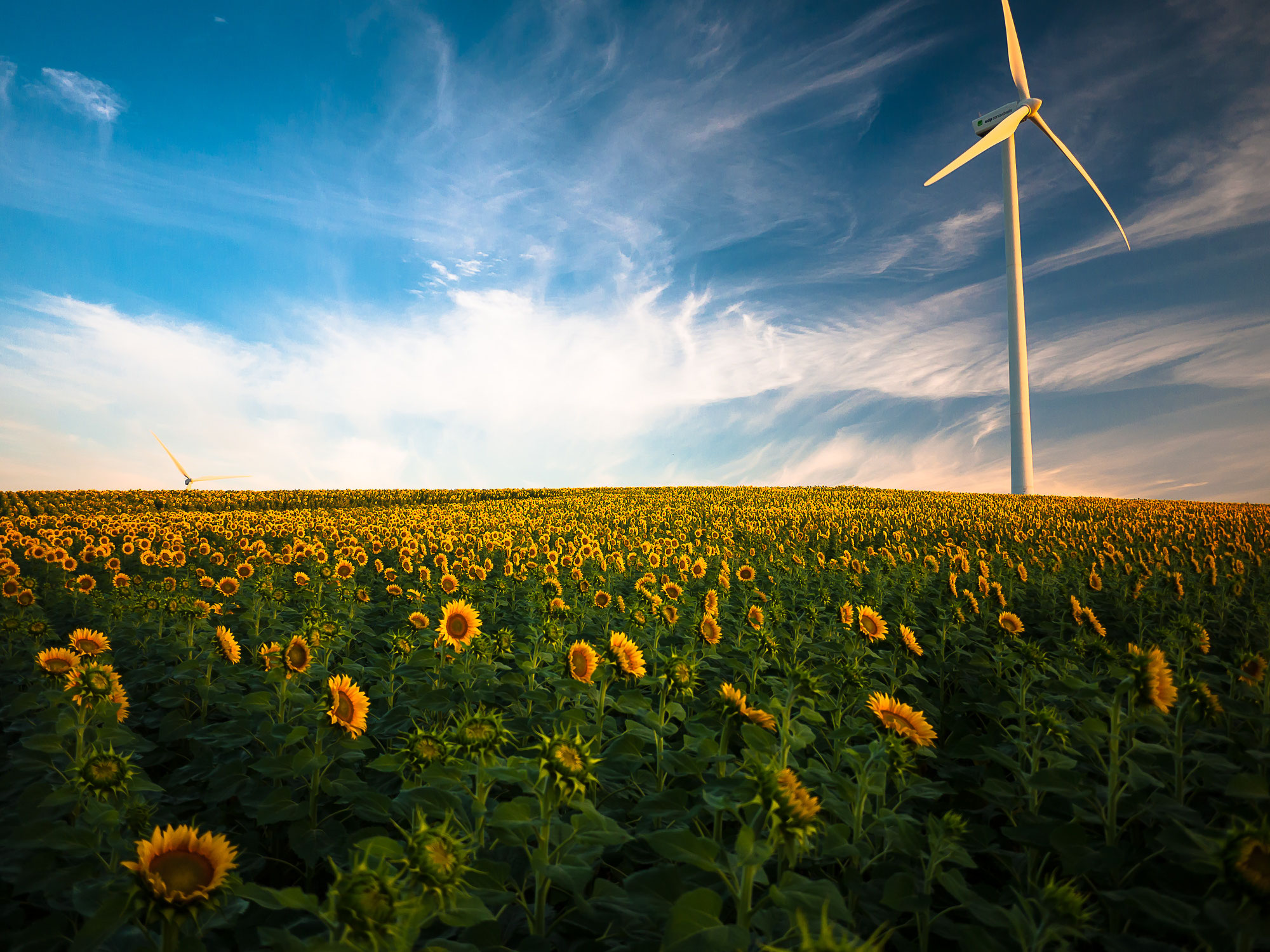 Reduce Utility Costs and Stay Warm: Energy-Saving Tips for a Sustainable Winter