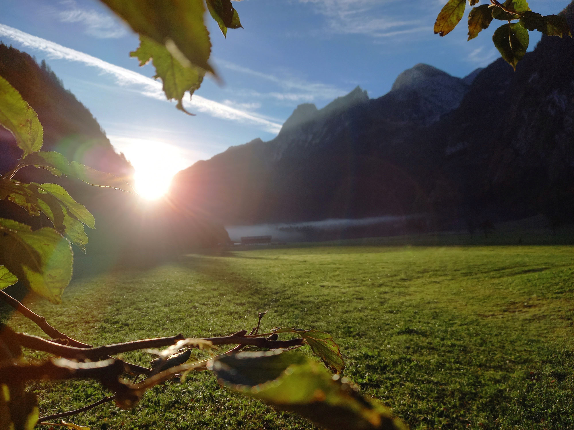 Metall - der Herbst in der TCM