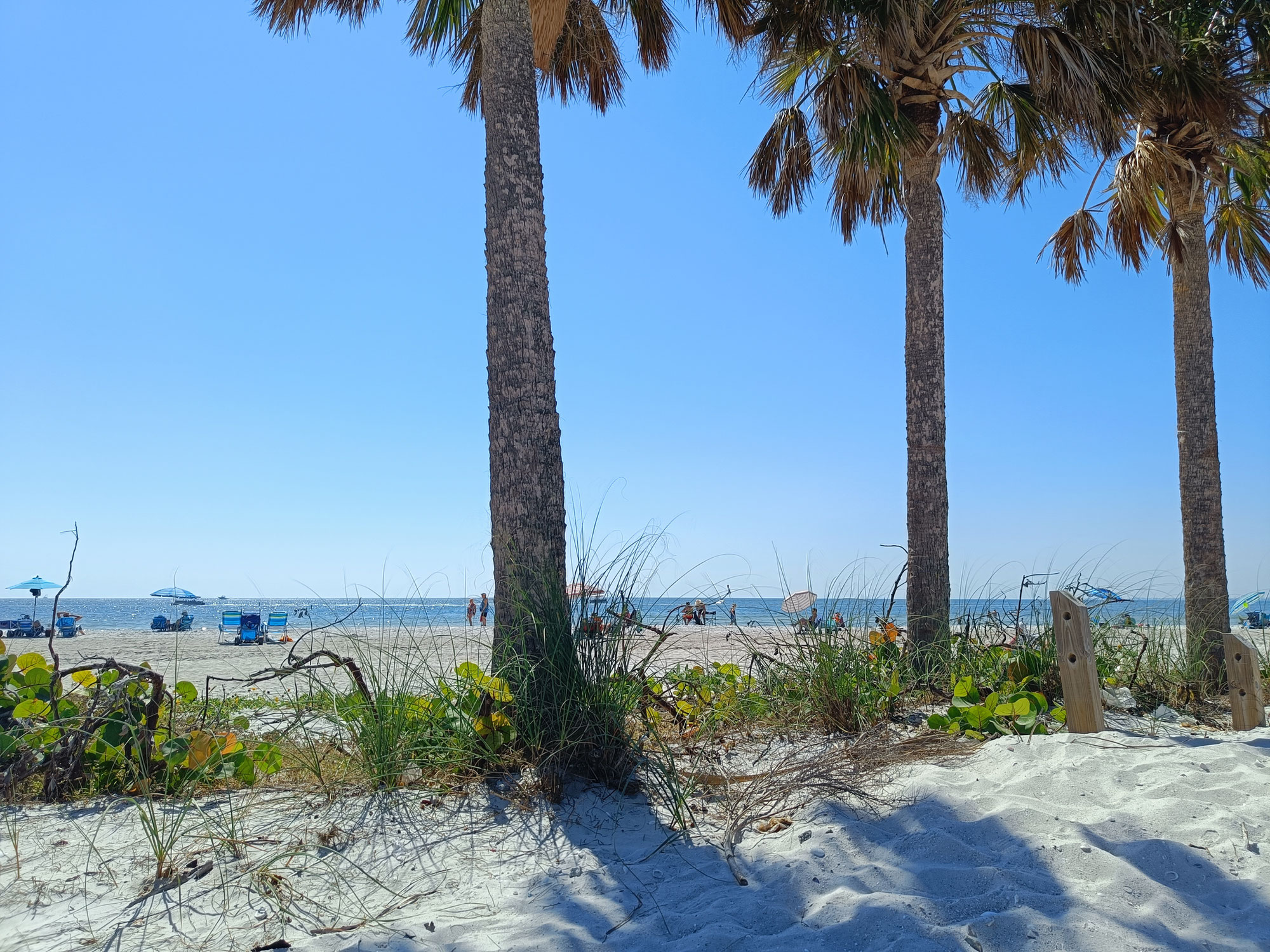 Fort Myers Beach, Sanibel Island und ein neues Auto