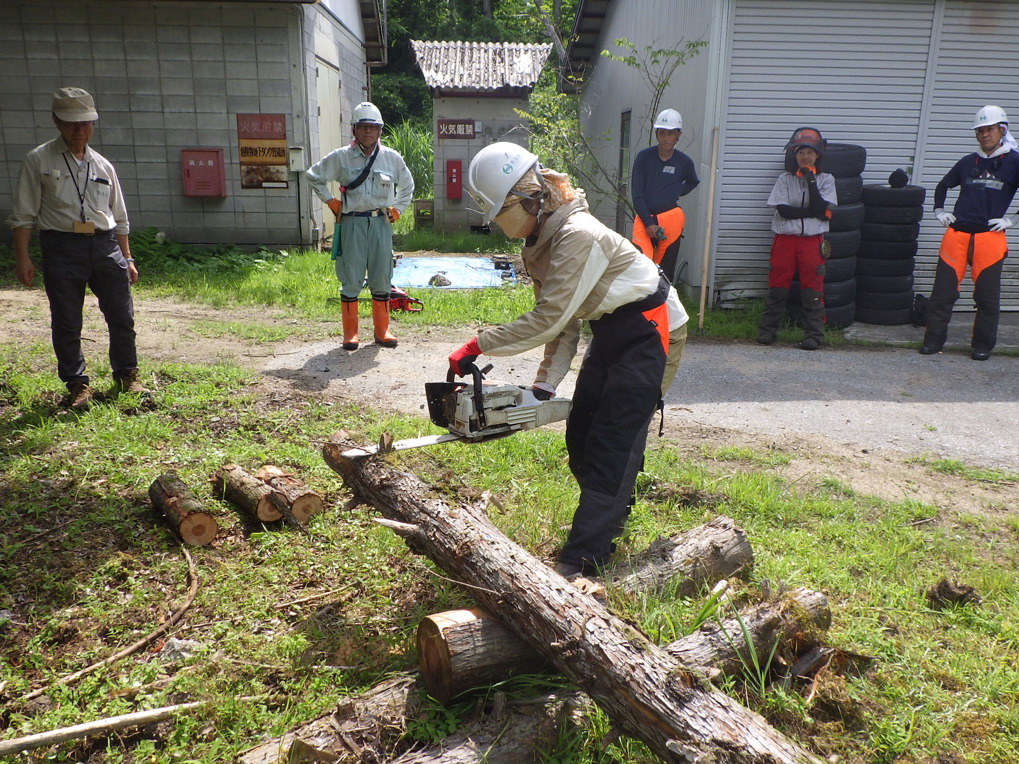 山仕事体験、地域交流「この森どうする？森と木に向き合う２日間」