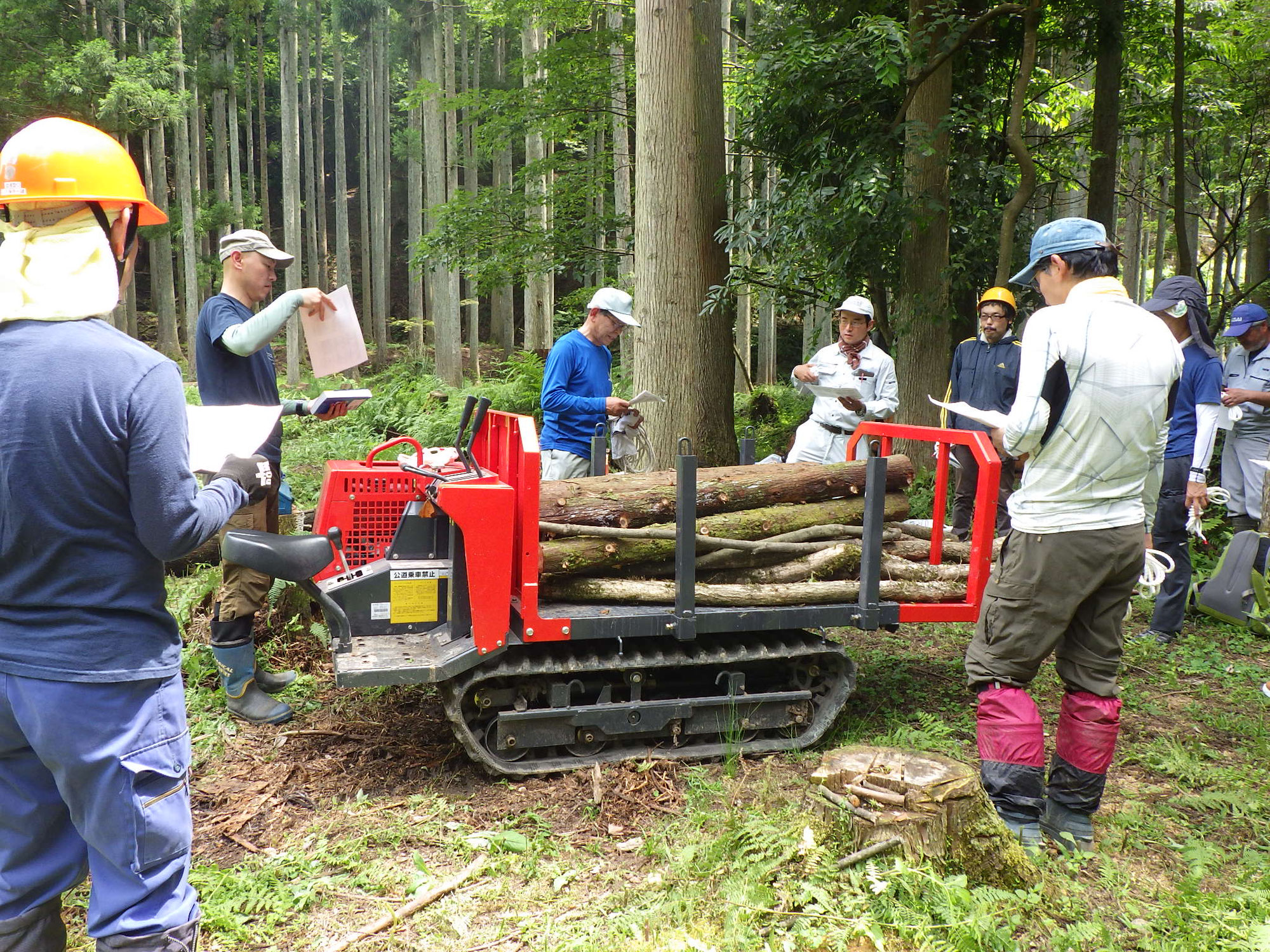 森カツ連続講座②木を運ぶロープワーク実践編