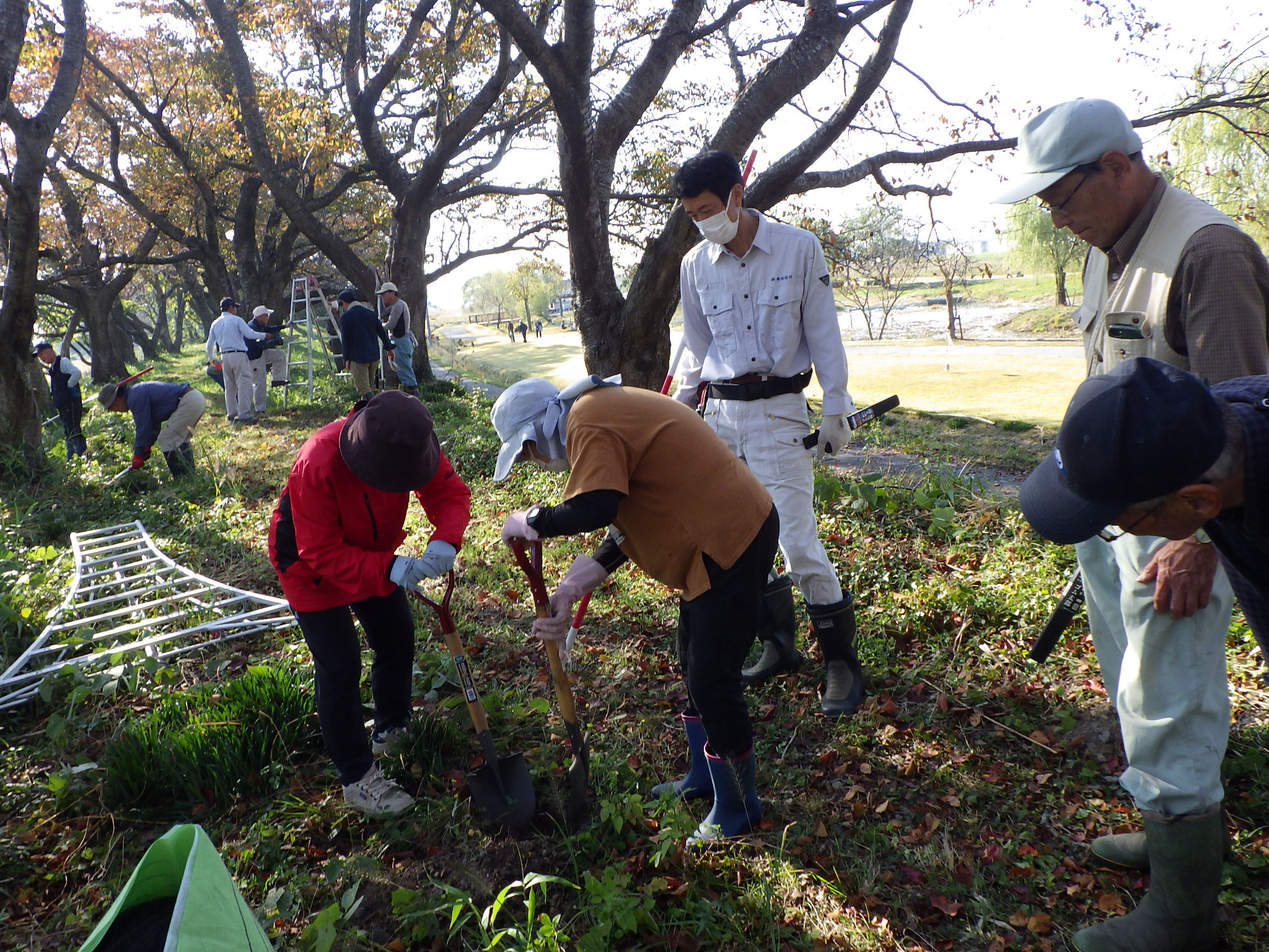 春を夢見る桜守講座2023秋