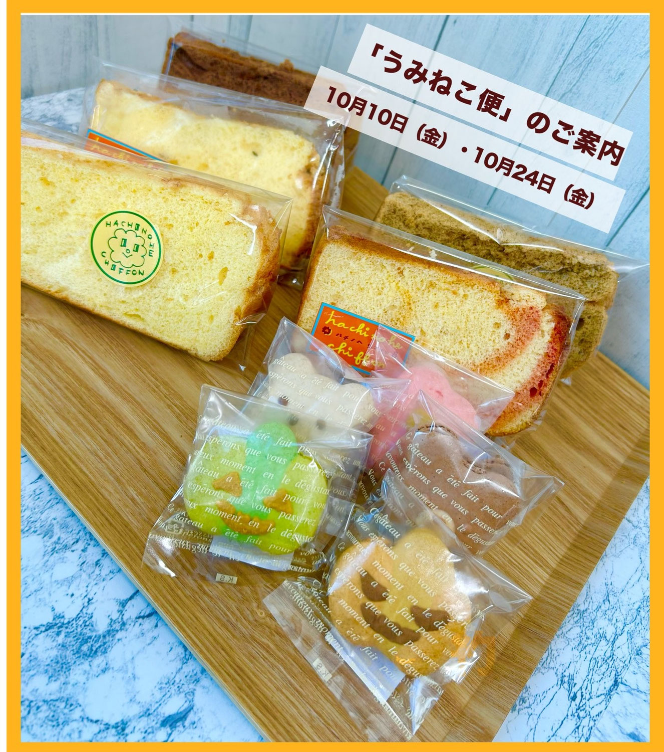 10月　『うみねこ便』募集のお知らせ