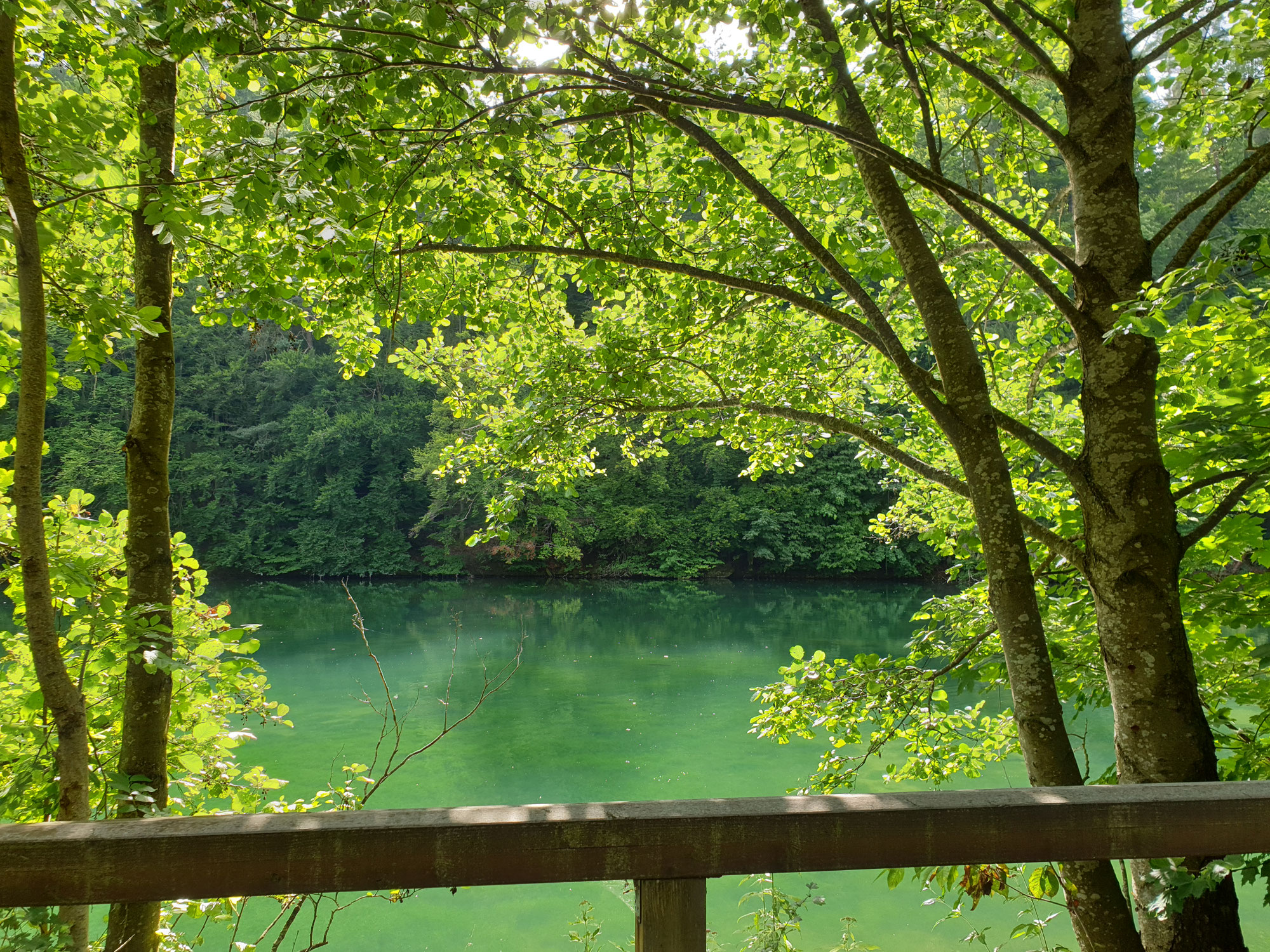 Blogpause
