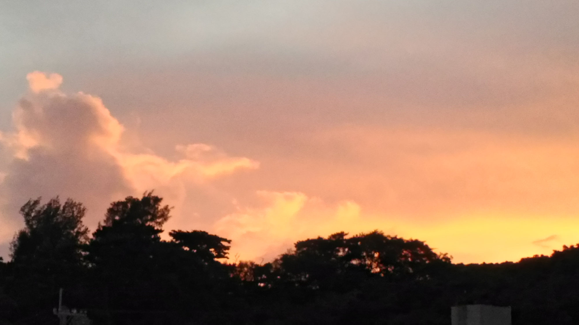 ご案内 ともしびについて tomoshibi ページ!