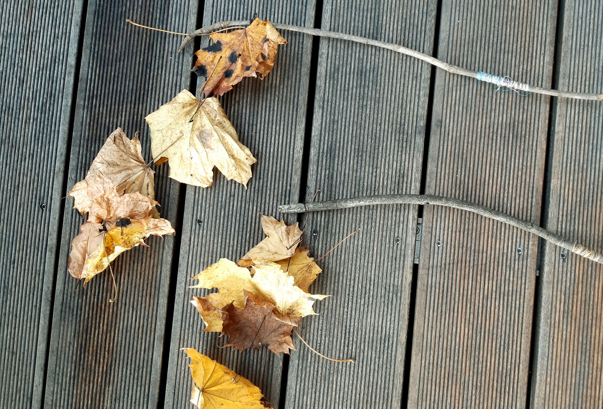 Der Herbstwind-Tanz