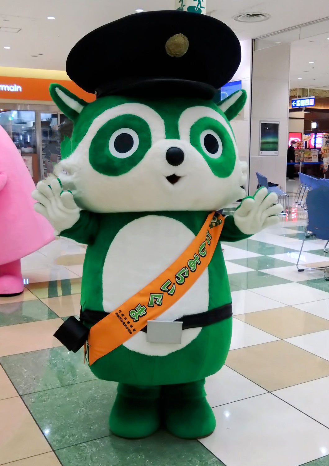 「にしあらいぐま」に遭遇！
