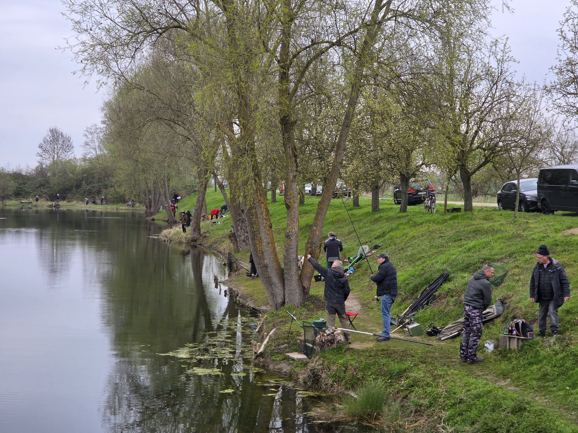 Wenn der See kocht: Forellenbesatz & Osterfischen beim ASV Pfungstadt
