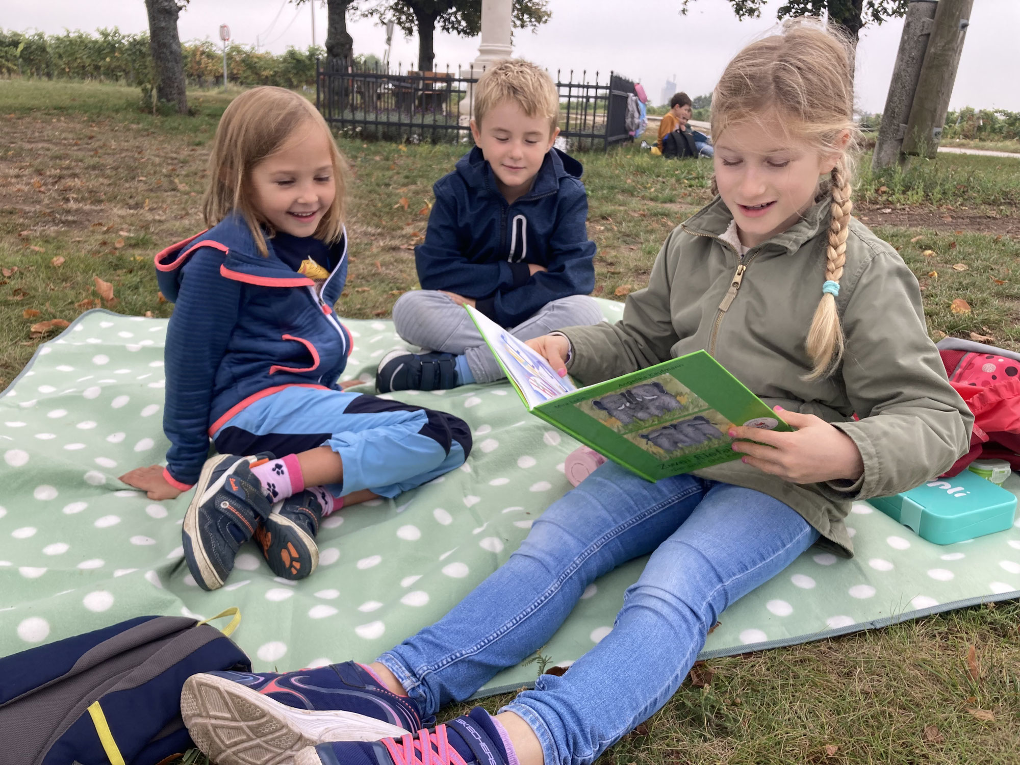 Ein magisches Lesepicknick voller Geschichten, Freundschaft und Genuss in Weiden am See!