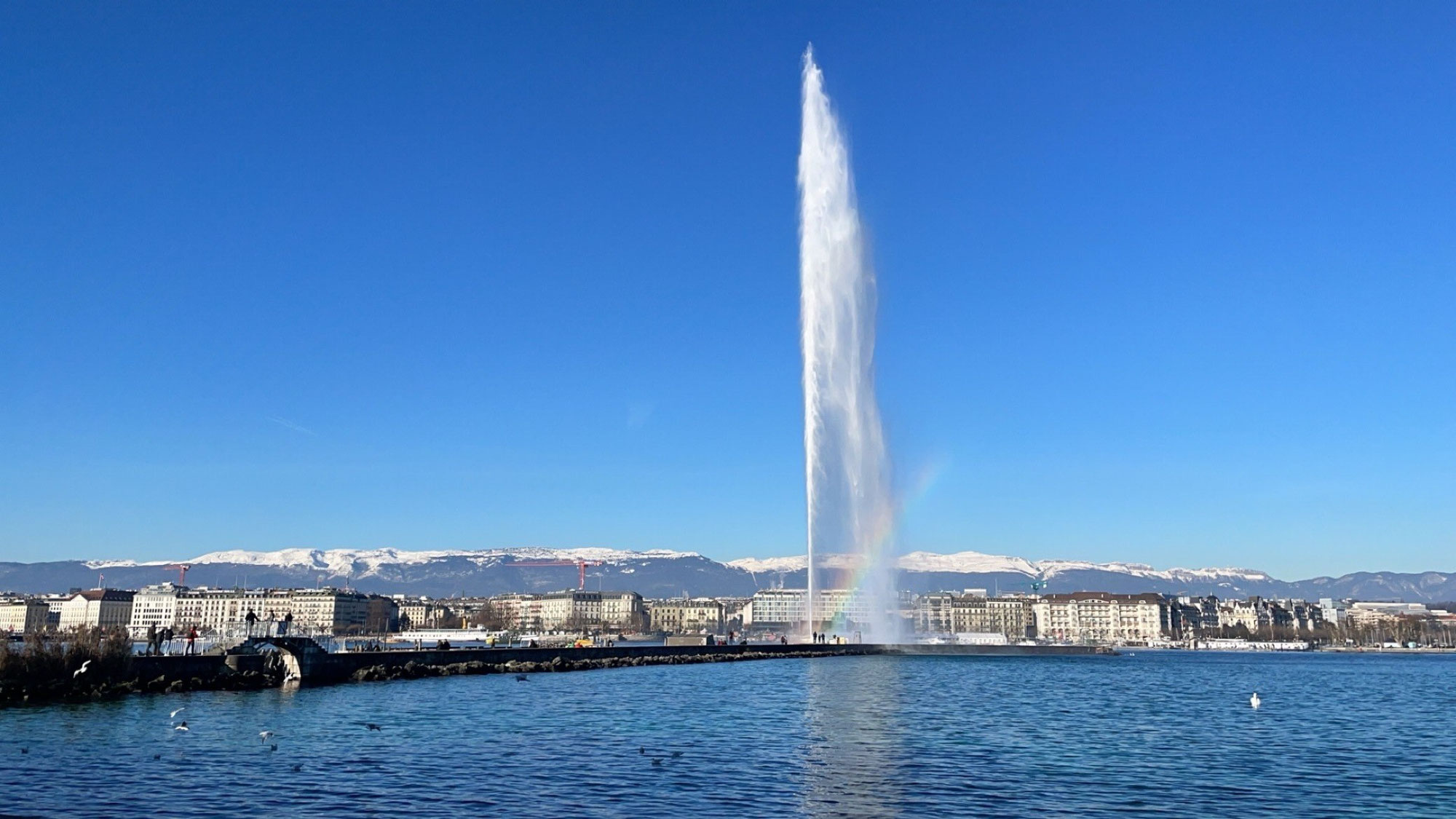 My first three months in Geneva