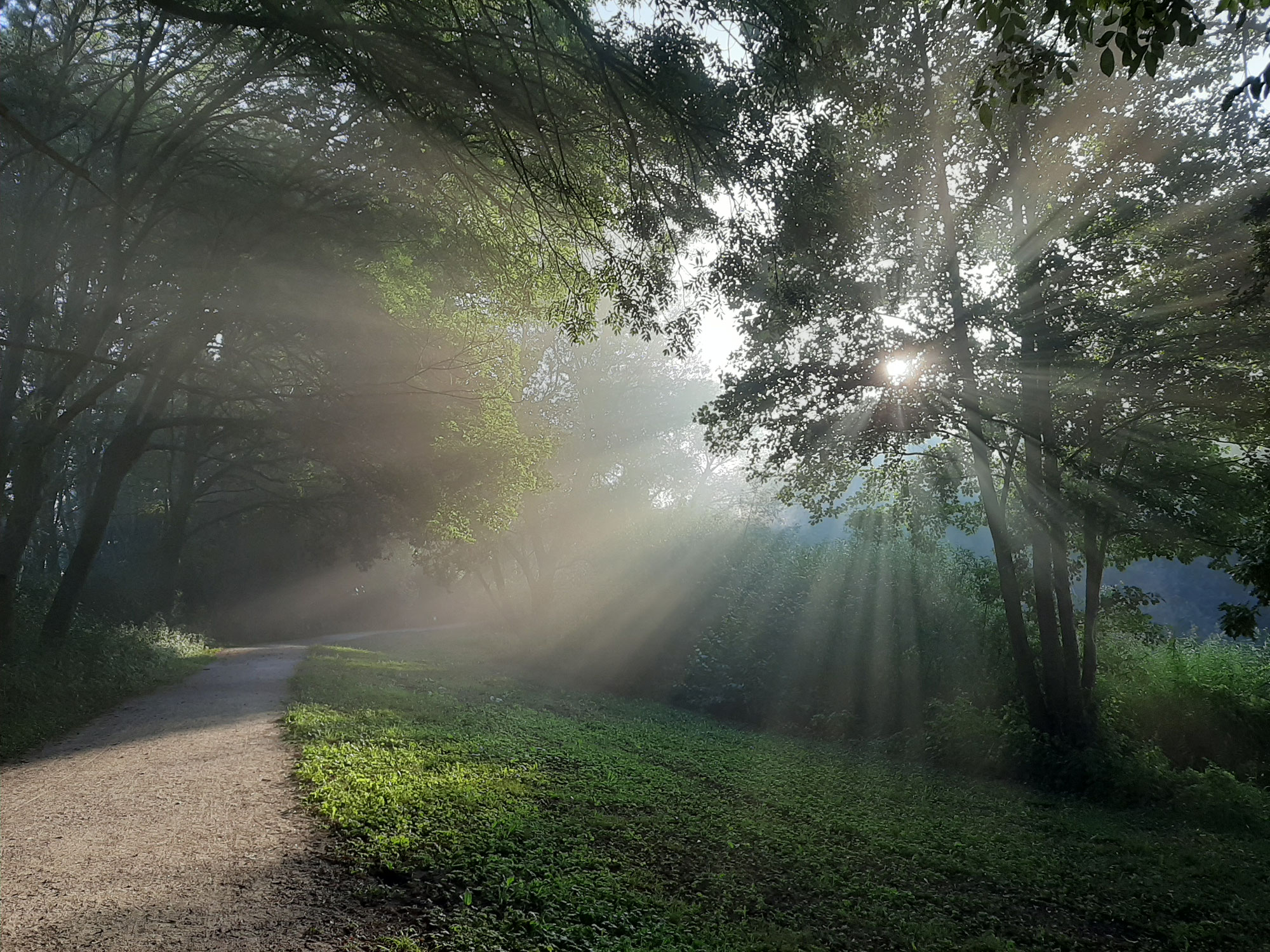 Ein bisschen Licht ins Dickicht von Unterstützungsmöglichkeiten