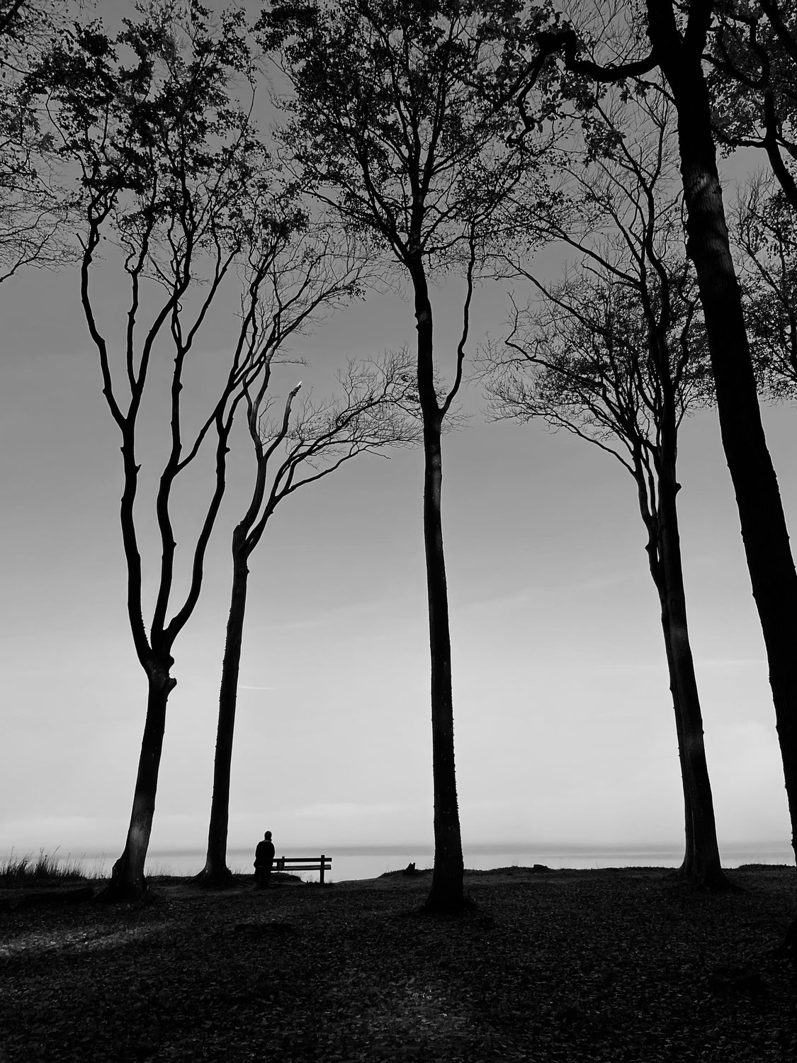 Jeder hat einen Schatten – Silhouetten und das Unsichtbare
