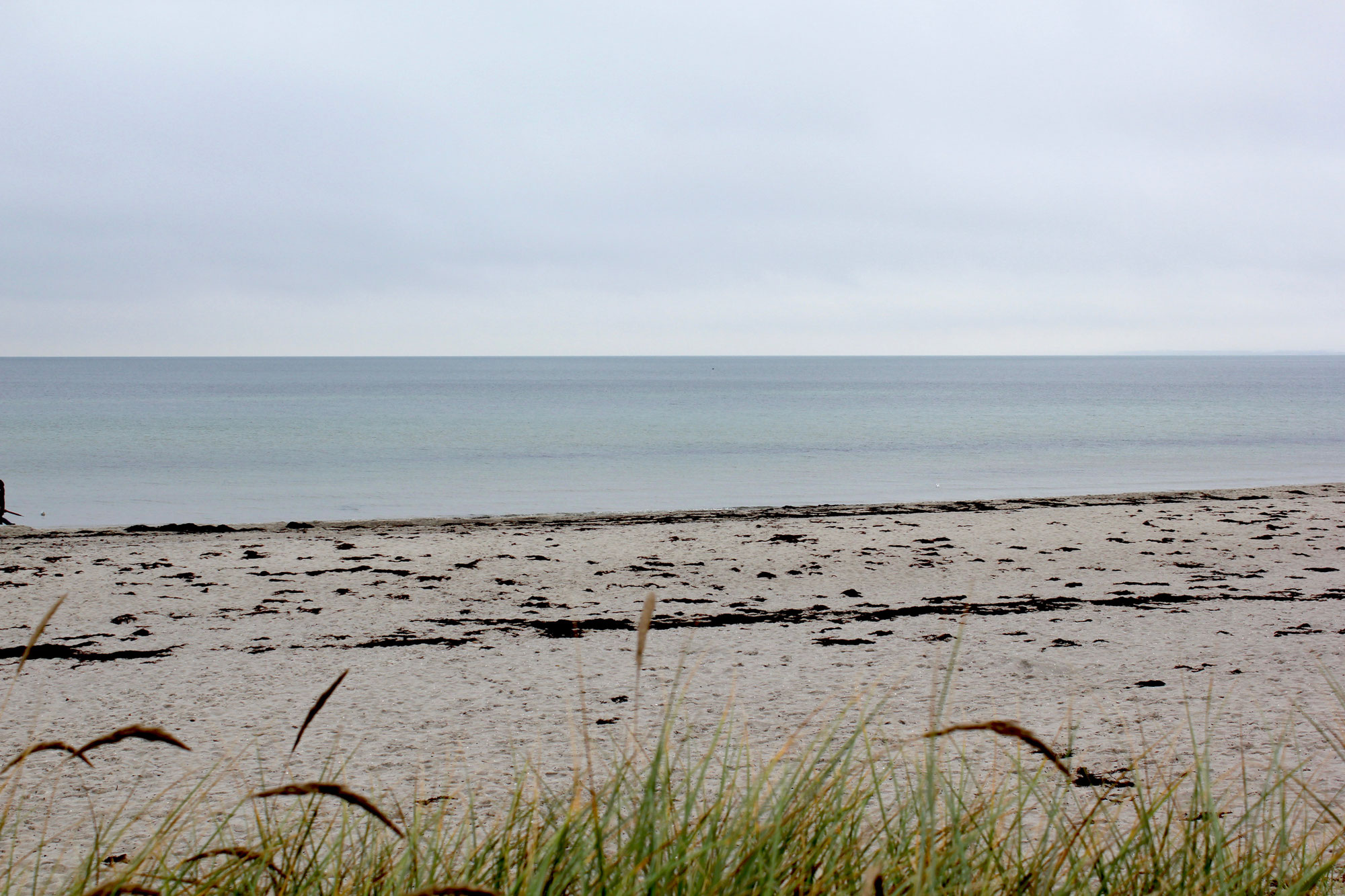 Überraschungstrauung an der Ostsee
