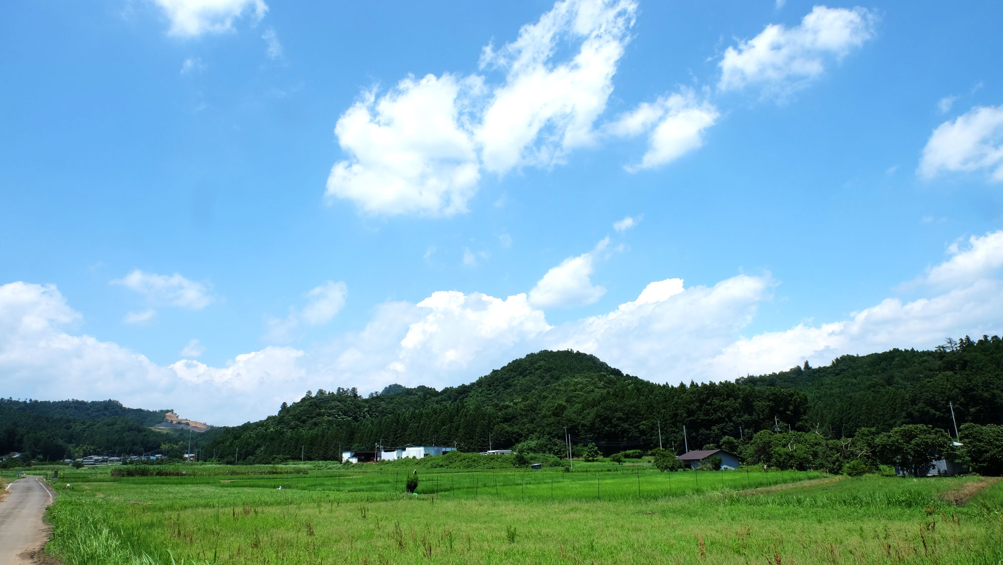 ＜里山で学ぶ＞「多田 里山スクール」が開校します！
