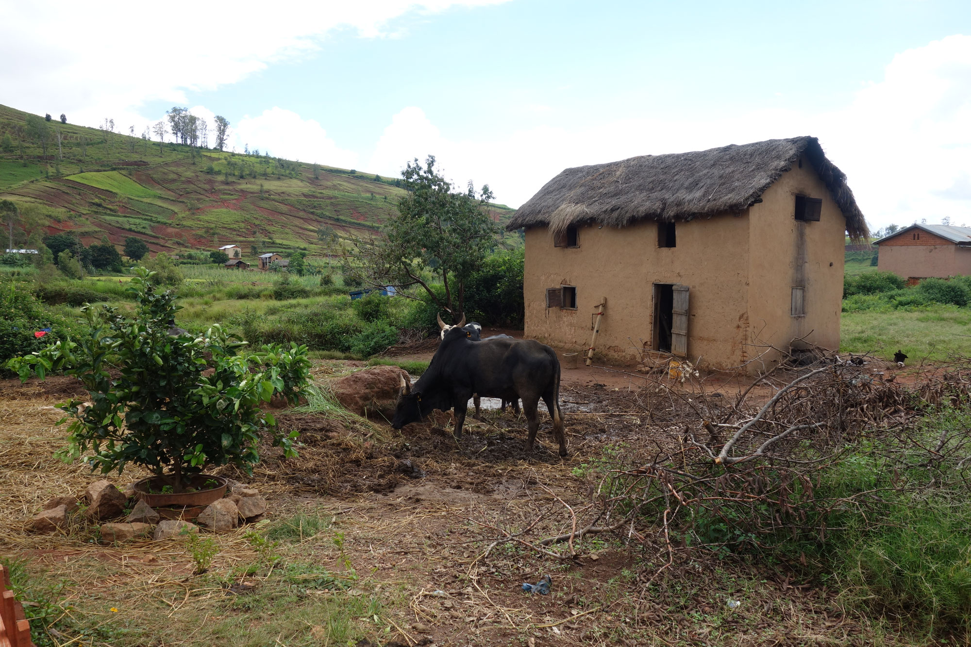 ＜応援コメント＞ ”ウンチが地球を救う” は、世界に誇る日本の技術です。