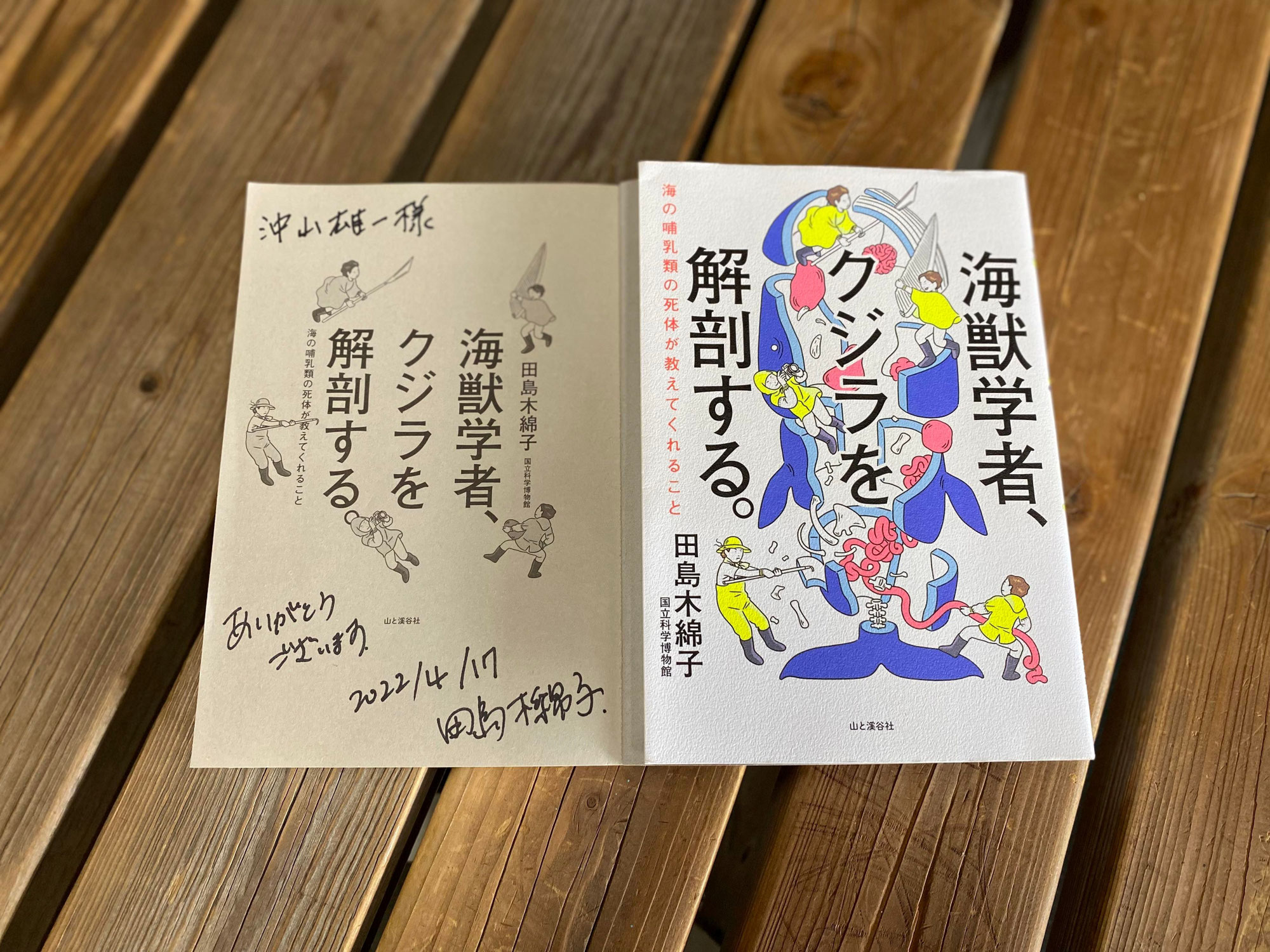 【三宅島クジラクラファン情報】海獣学者 田島木綿子(たじまゆうこ)先生にお会いしました。