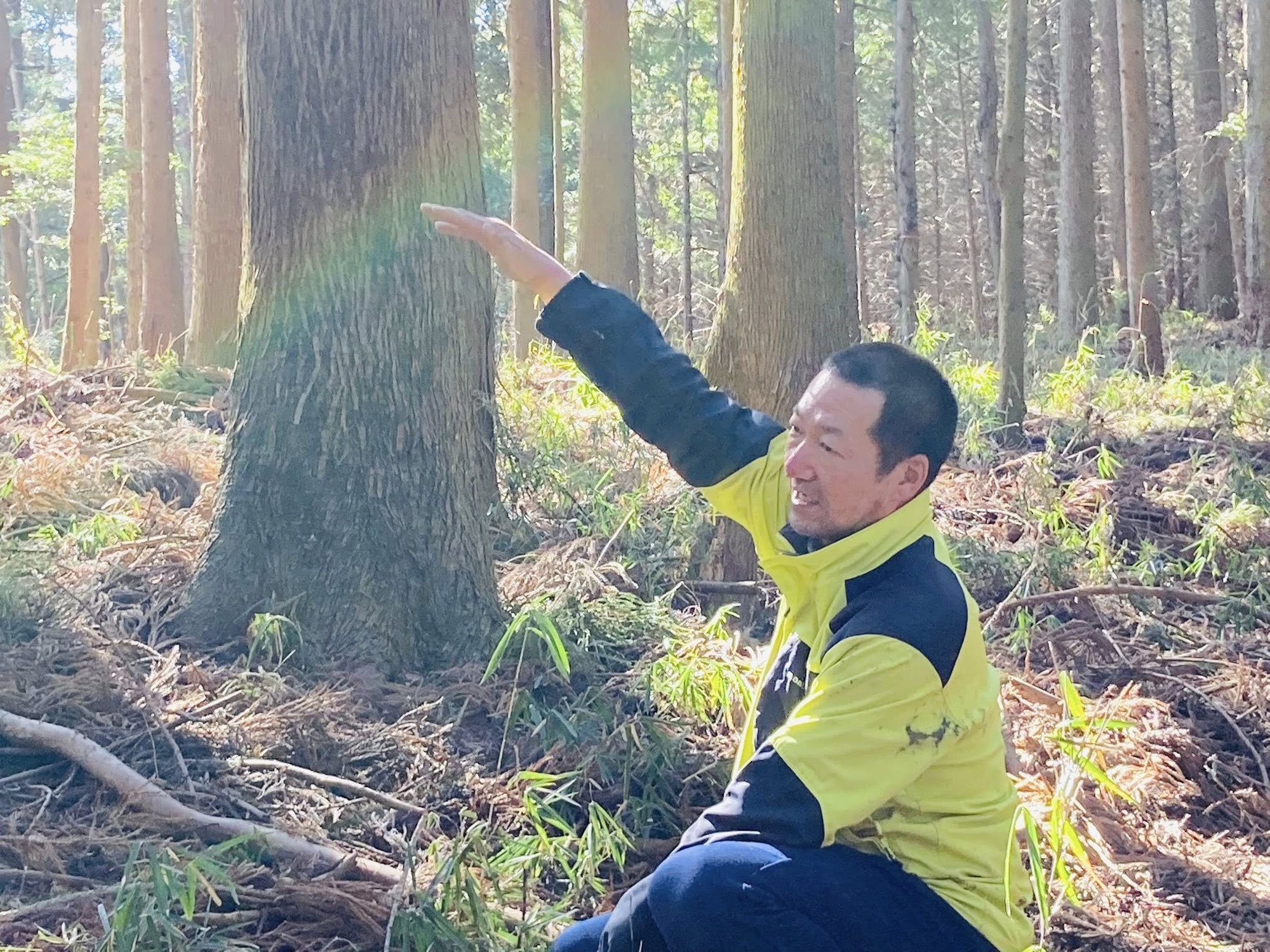 5/5〜5/10 橋本忠久氏による里山整備を実施予定です