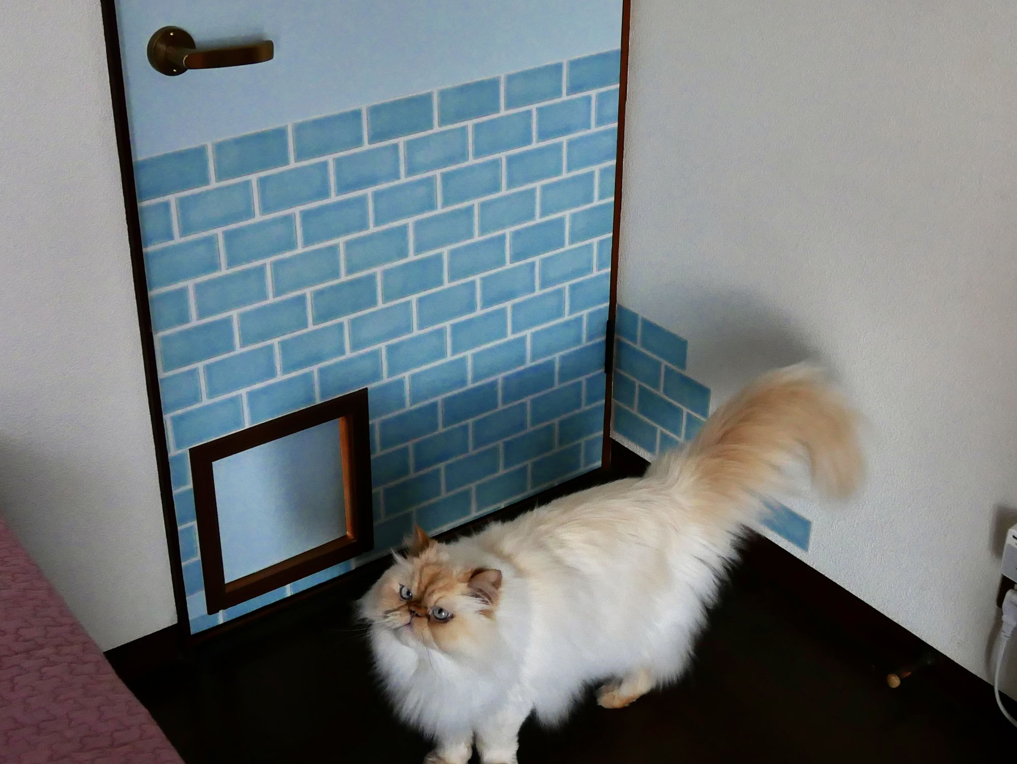 ゆるゆるDIY