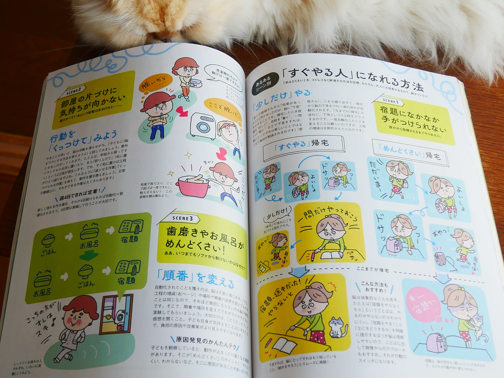 秋だな