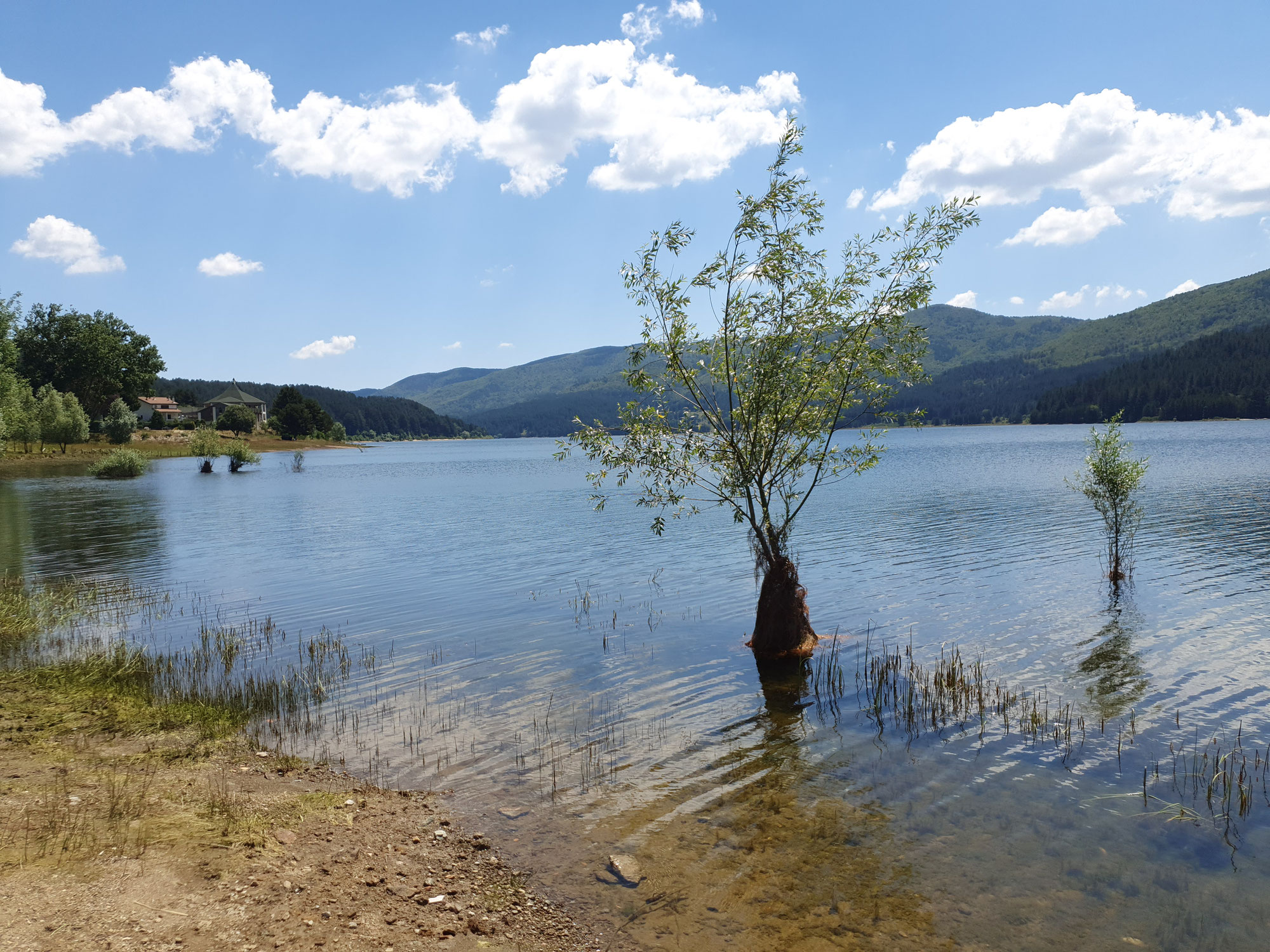 Lago di Cecita