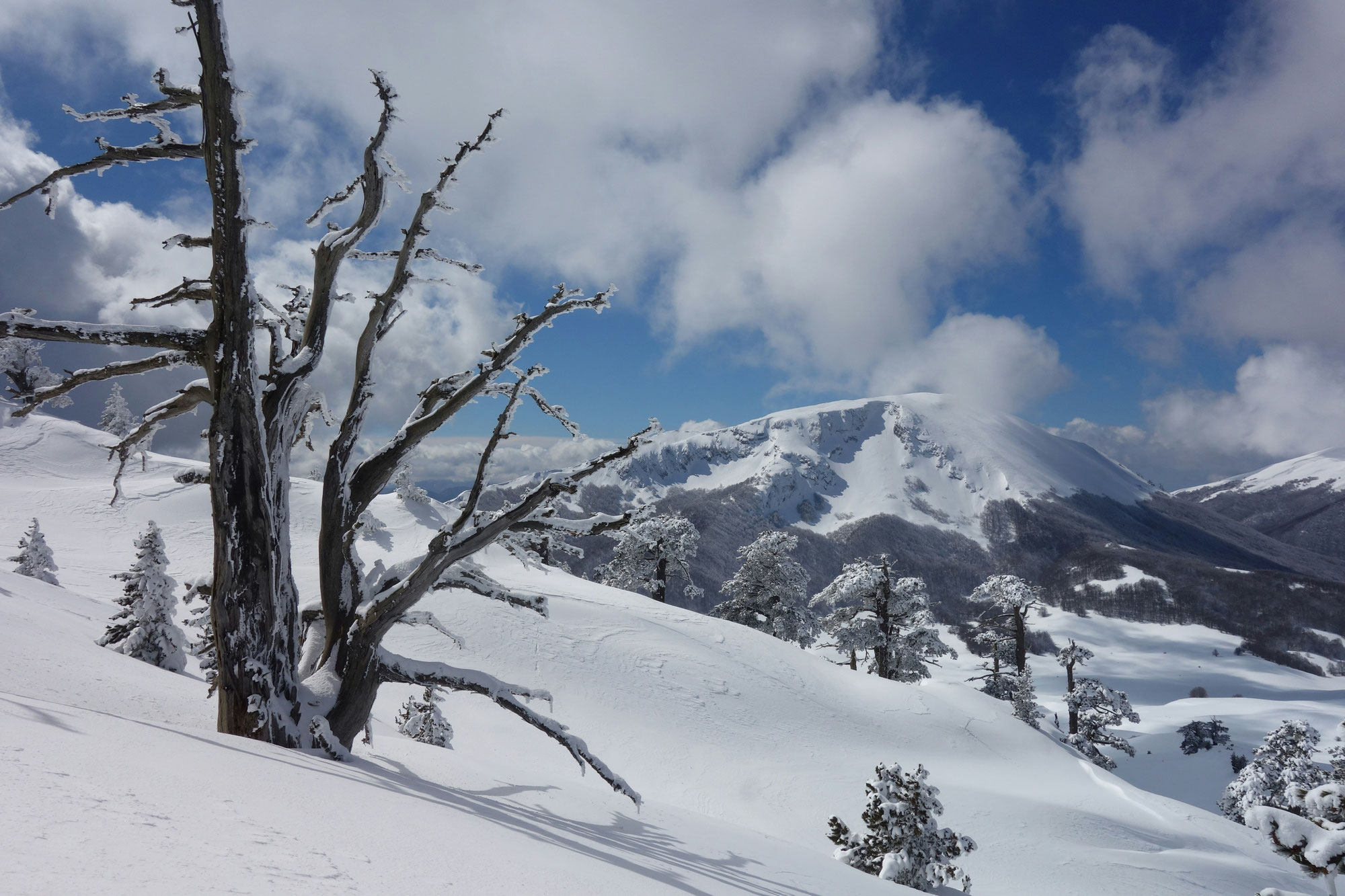 Pollino Calabro Nationalpark