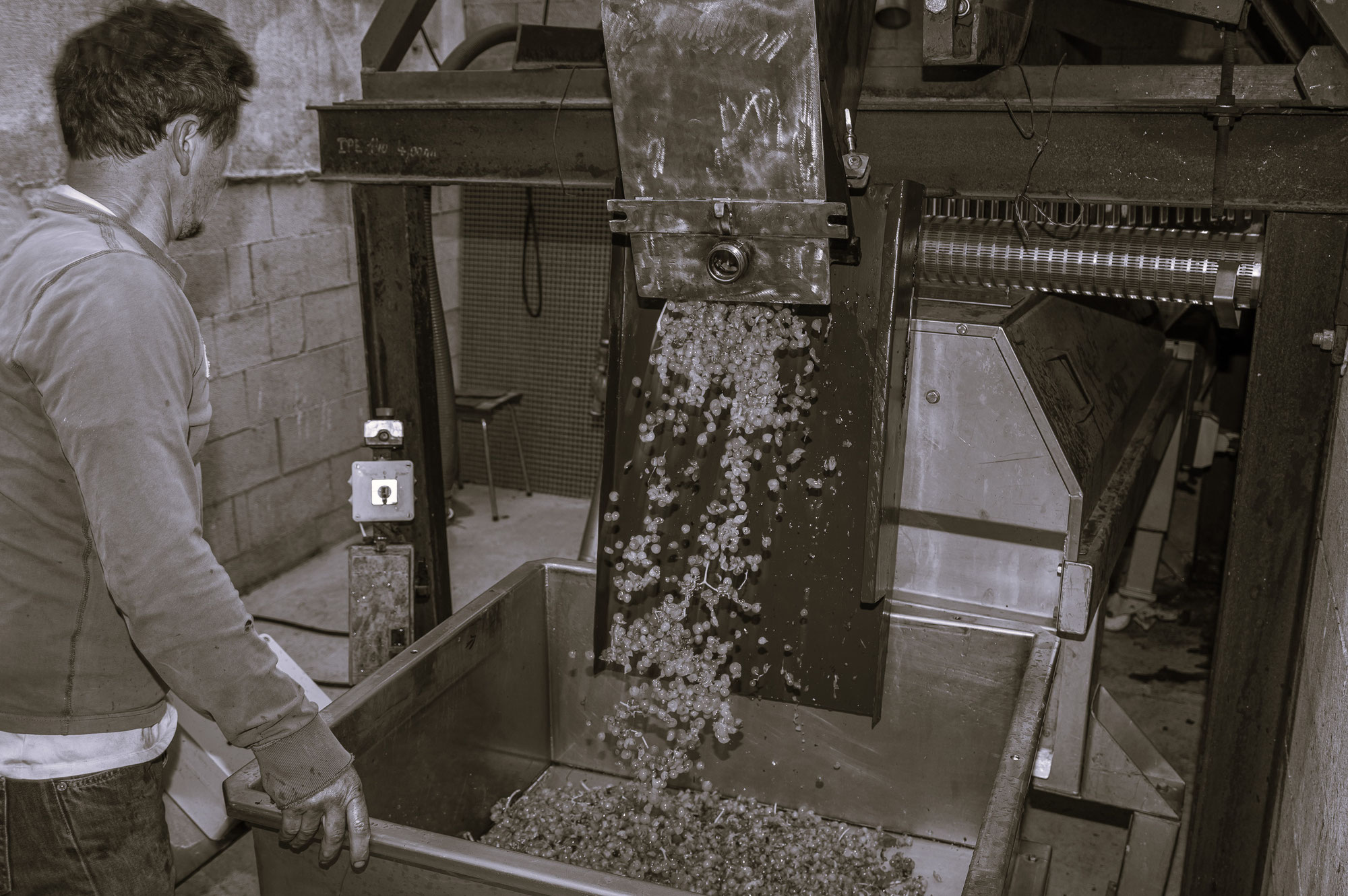 La gazette des vendanges
