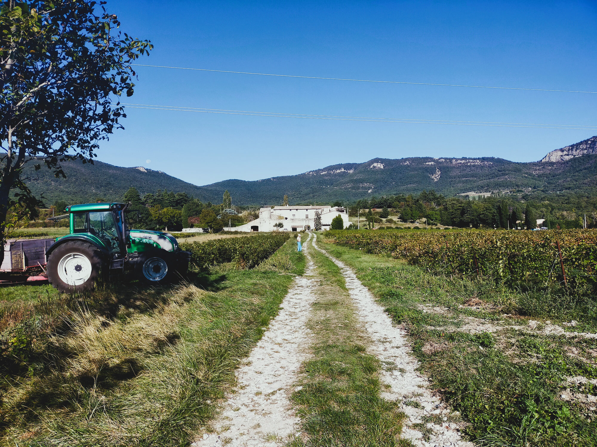 La gazette des vendanges