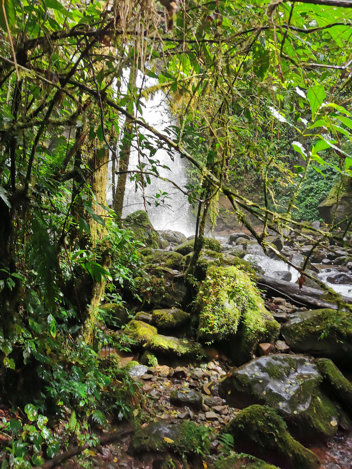 Nebelwald - Lost Waterfall Tour