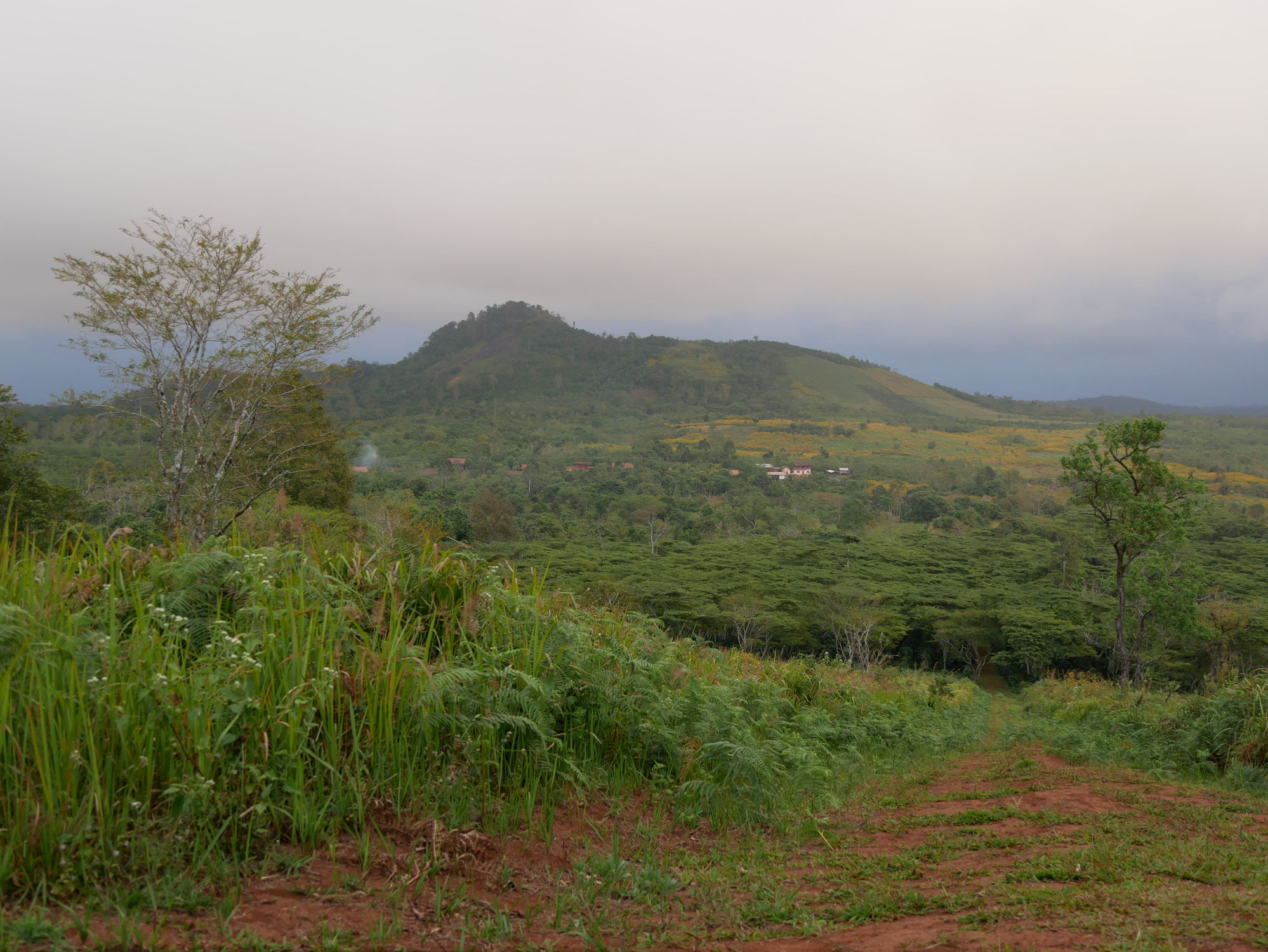 Mystische Übernachtung auf dem Bolaven Plateau