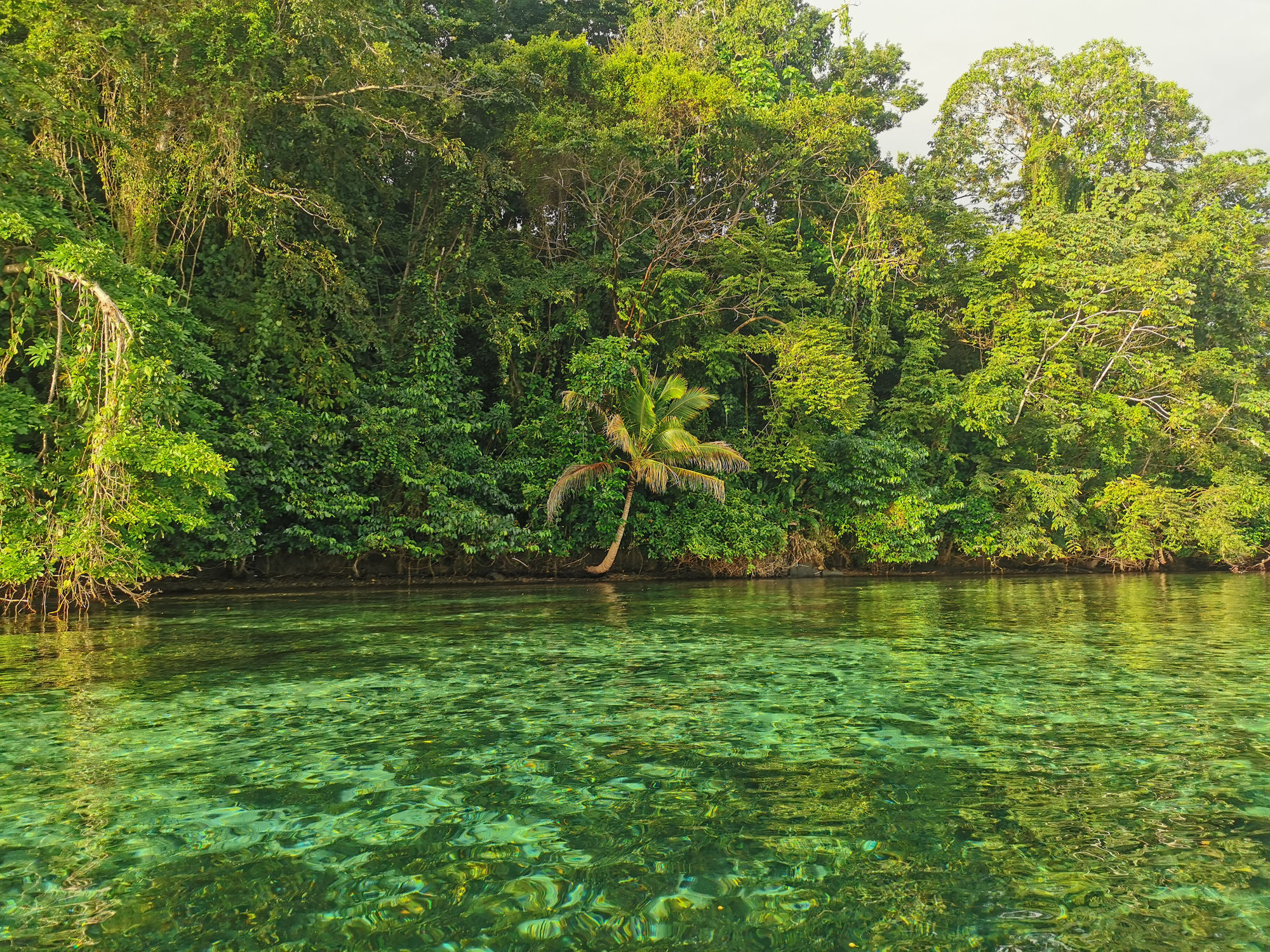 Isla Pastores
