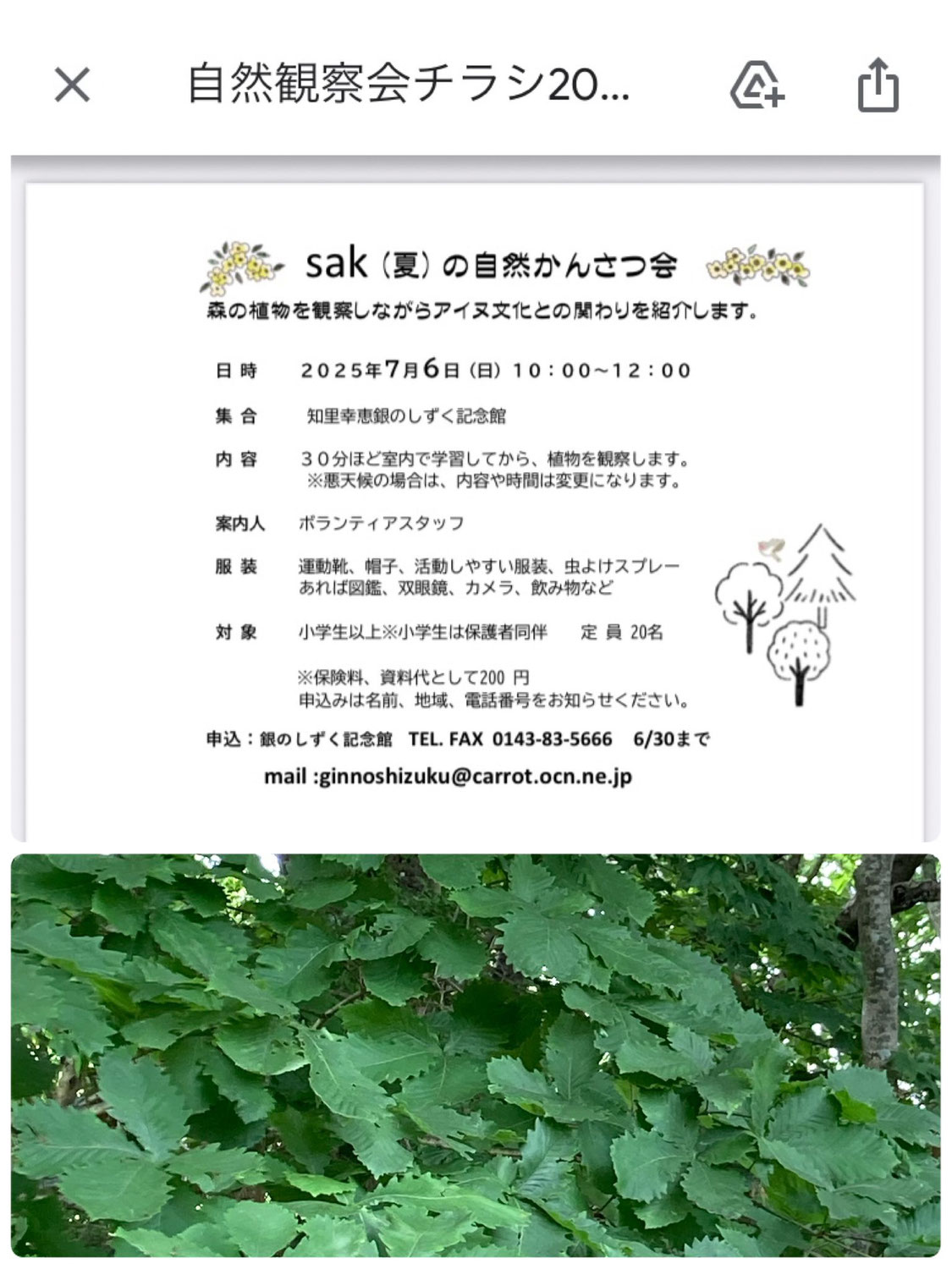 sak（夏）の自然かんさつ会　７月6日㈰