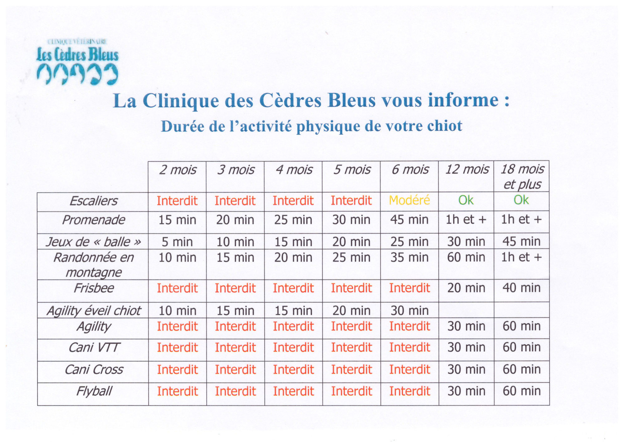 Activité physique de votre chiot