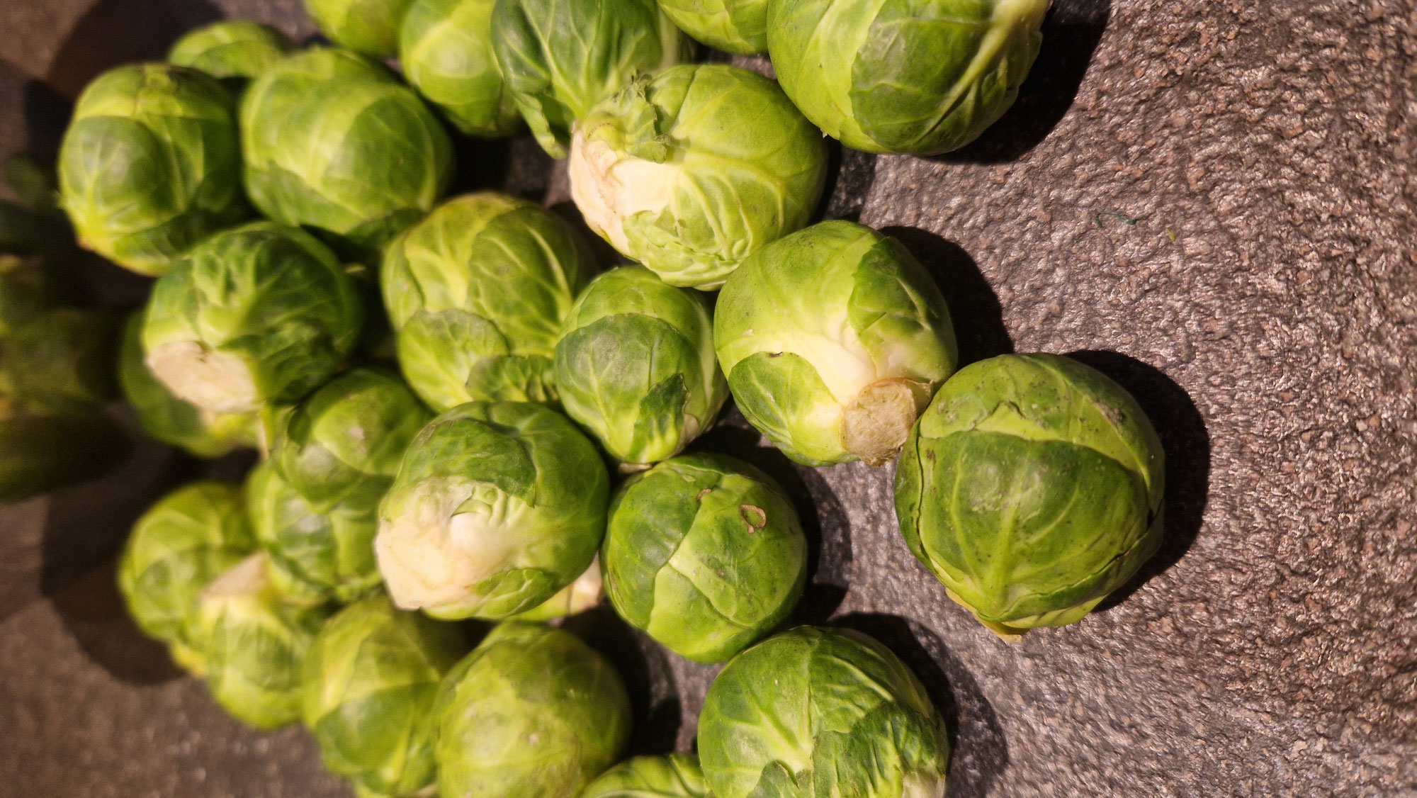 Saisonales Obst & Gemüse für Februar | Rosenkohl