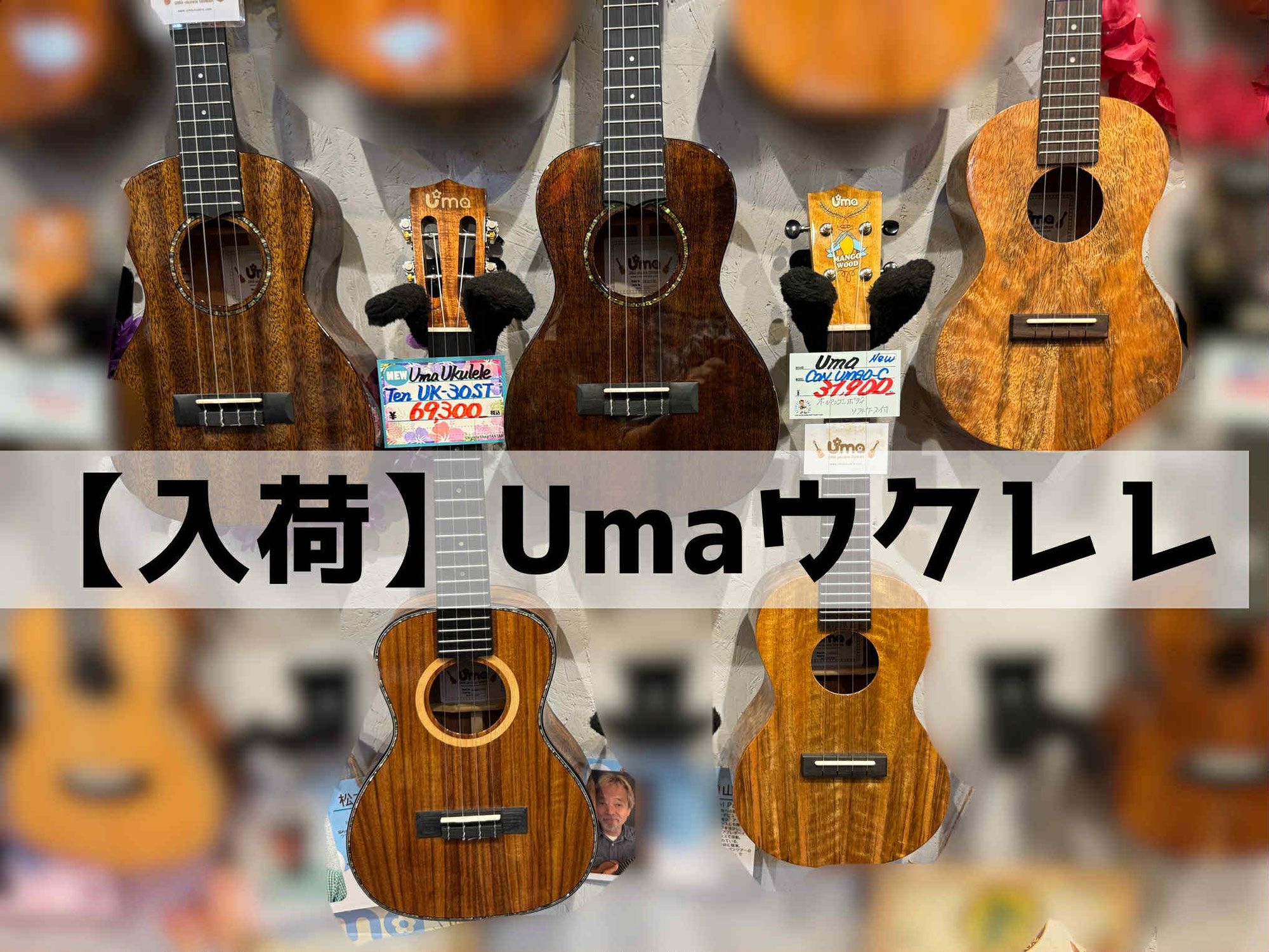 【入荷】Umaウクレレ