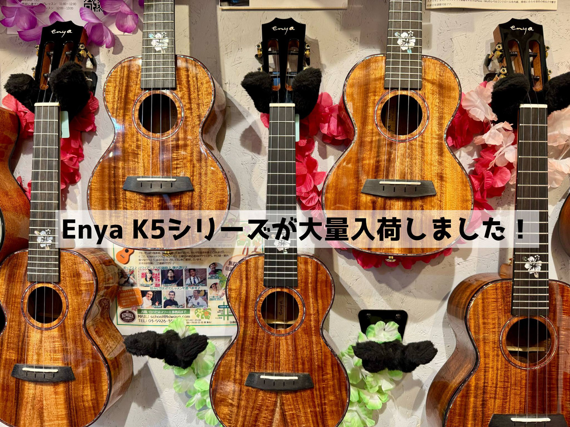 【大量入荷】Enya K5シリーズ
