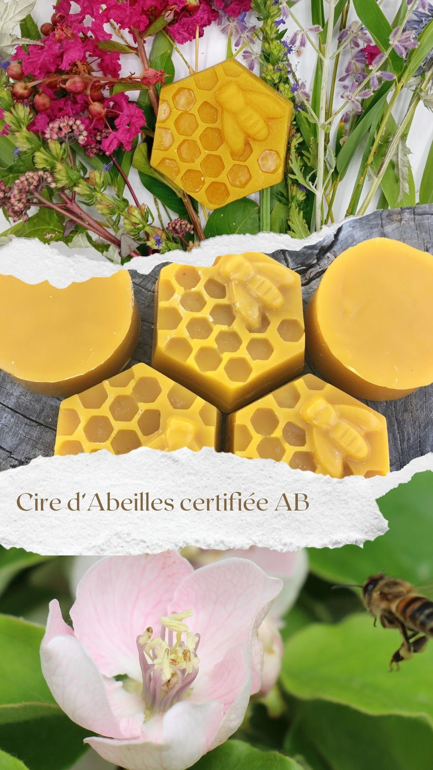 La cire d'Abeilles : Un trésor naturel aux multiples usages