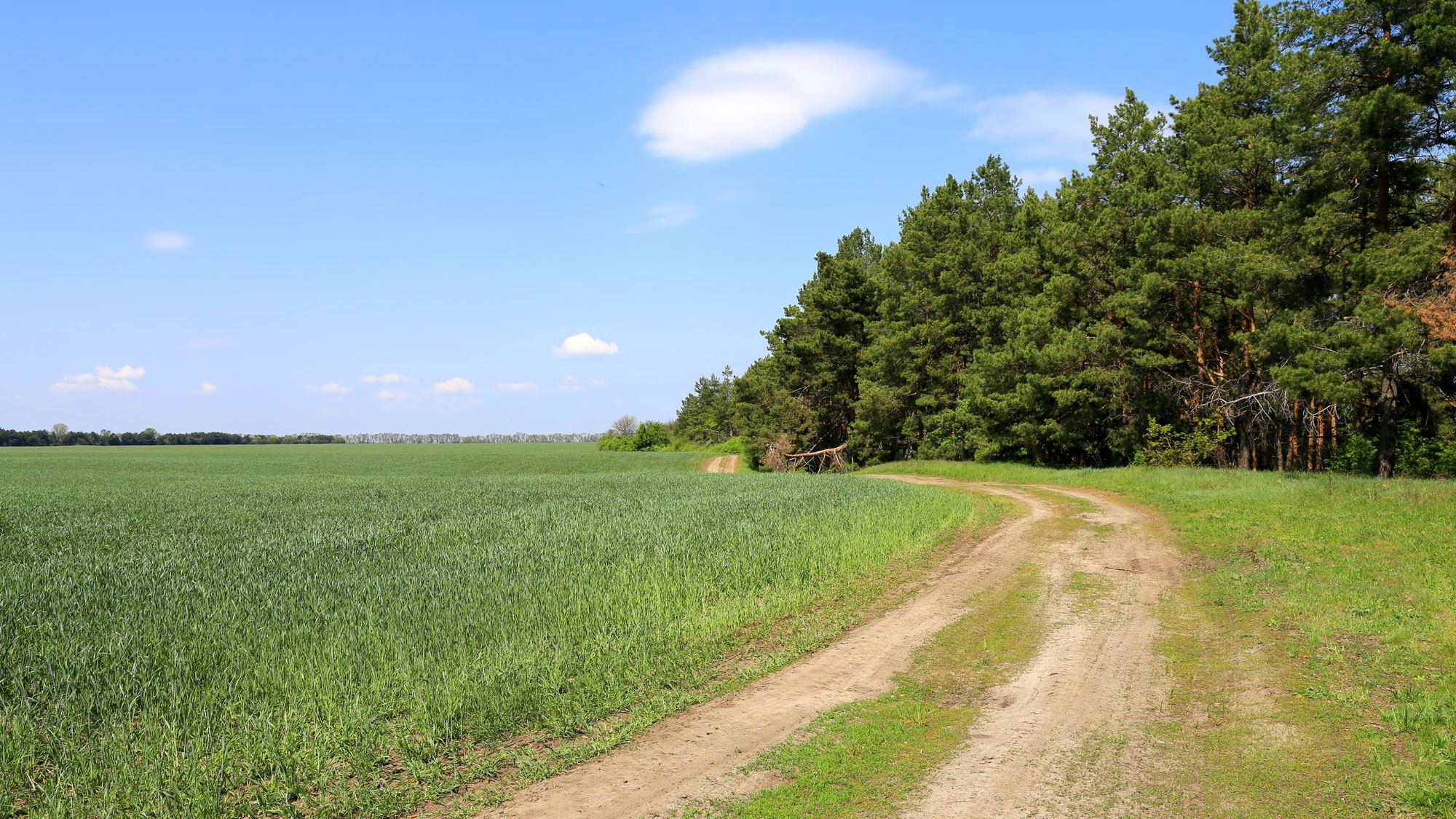 Wenn etwas offiziell endet – Übergänge und innere Endgültigkeit