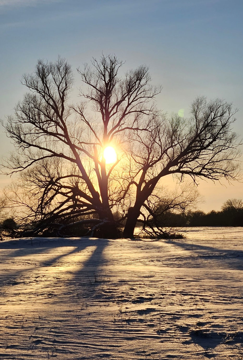 Winter 2025