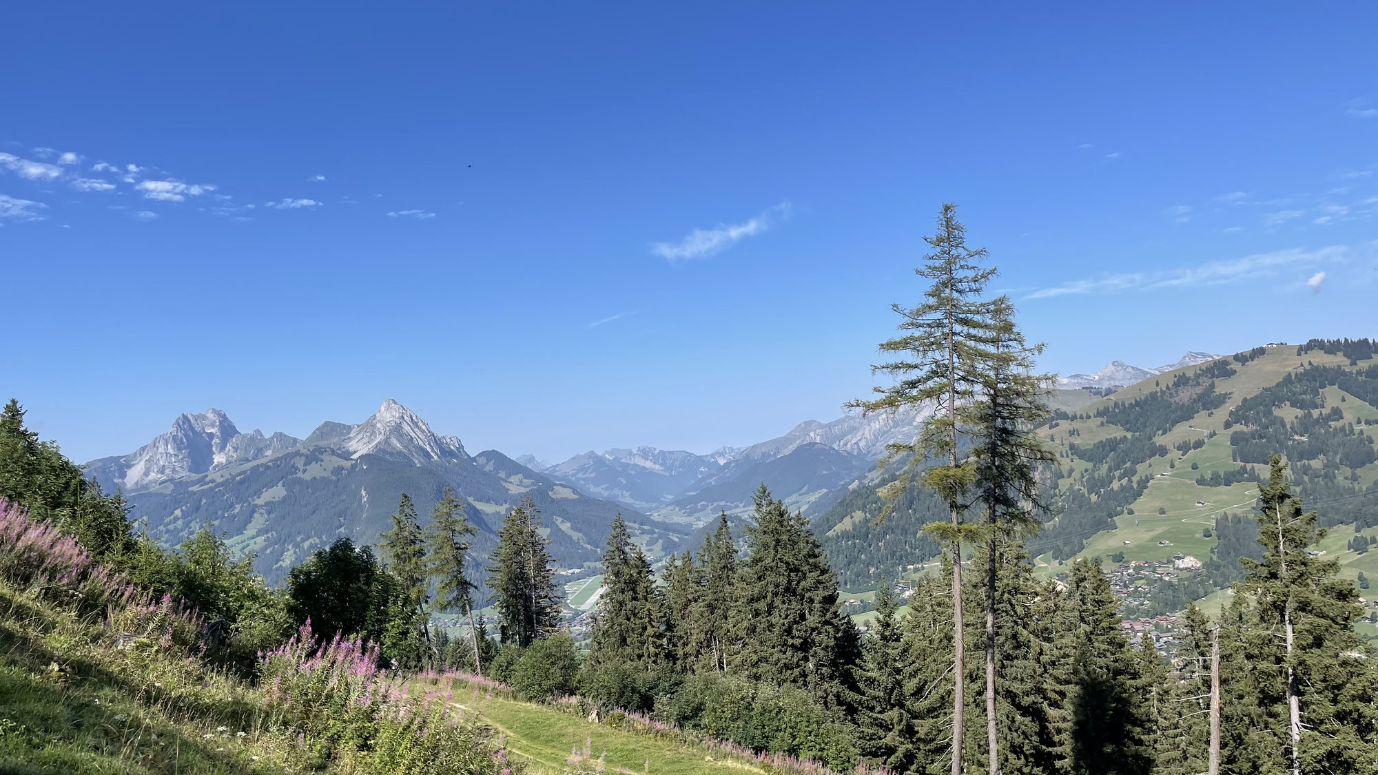 Jahresplan RFV Gstaad Saanenland