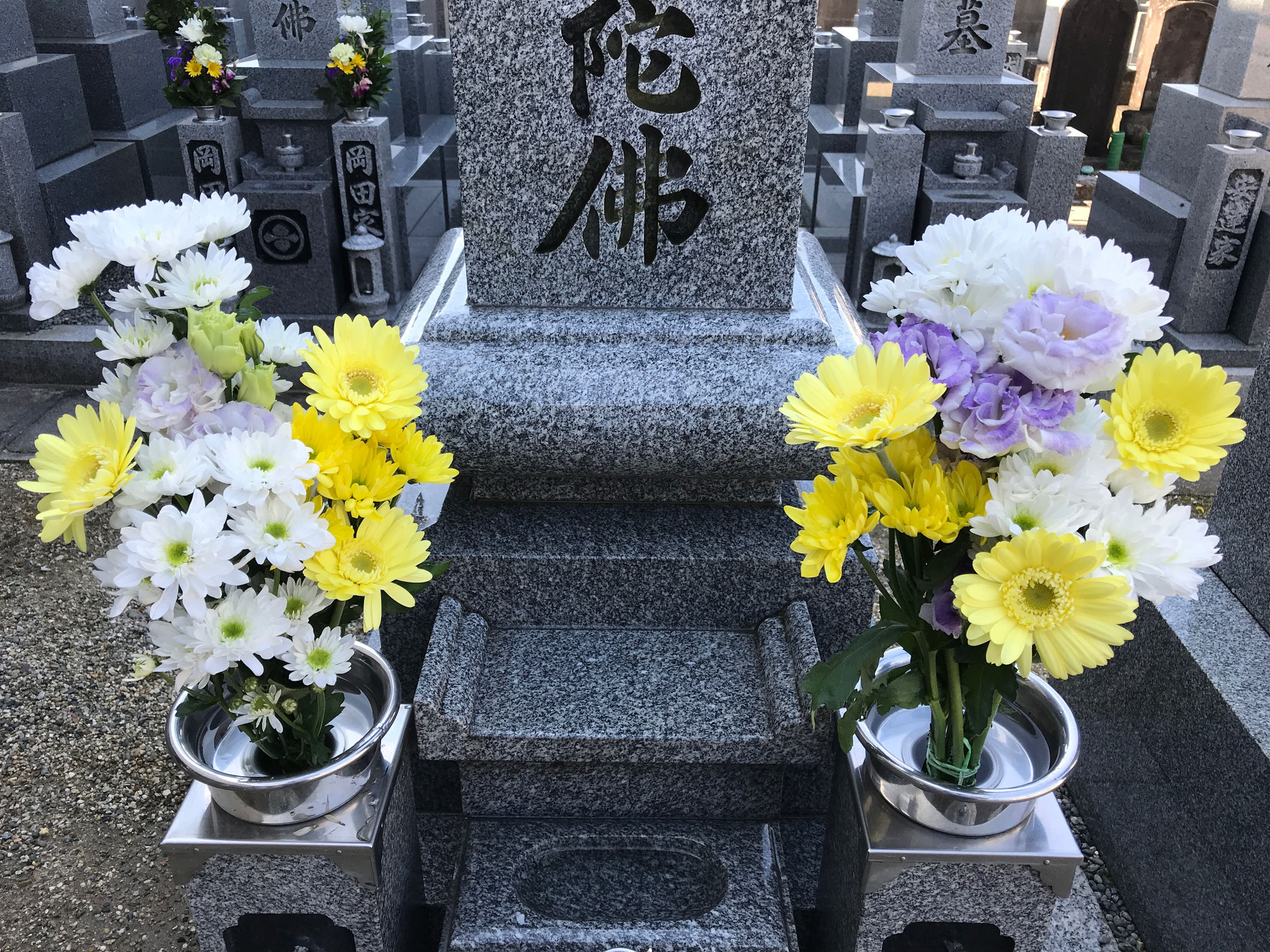 家族 僕らの移住生活 家族 僕らの移住生活