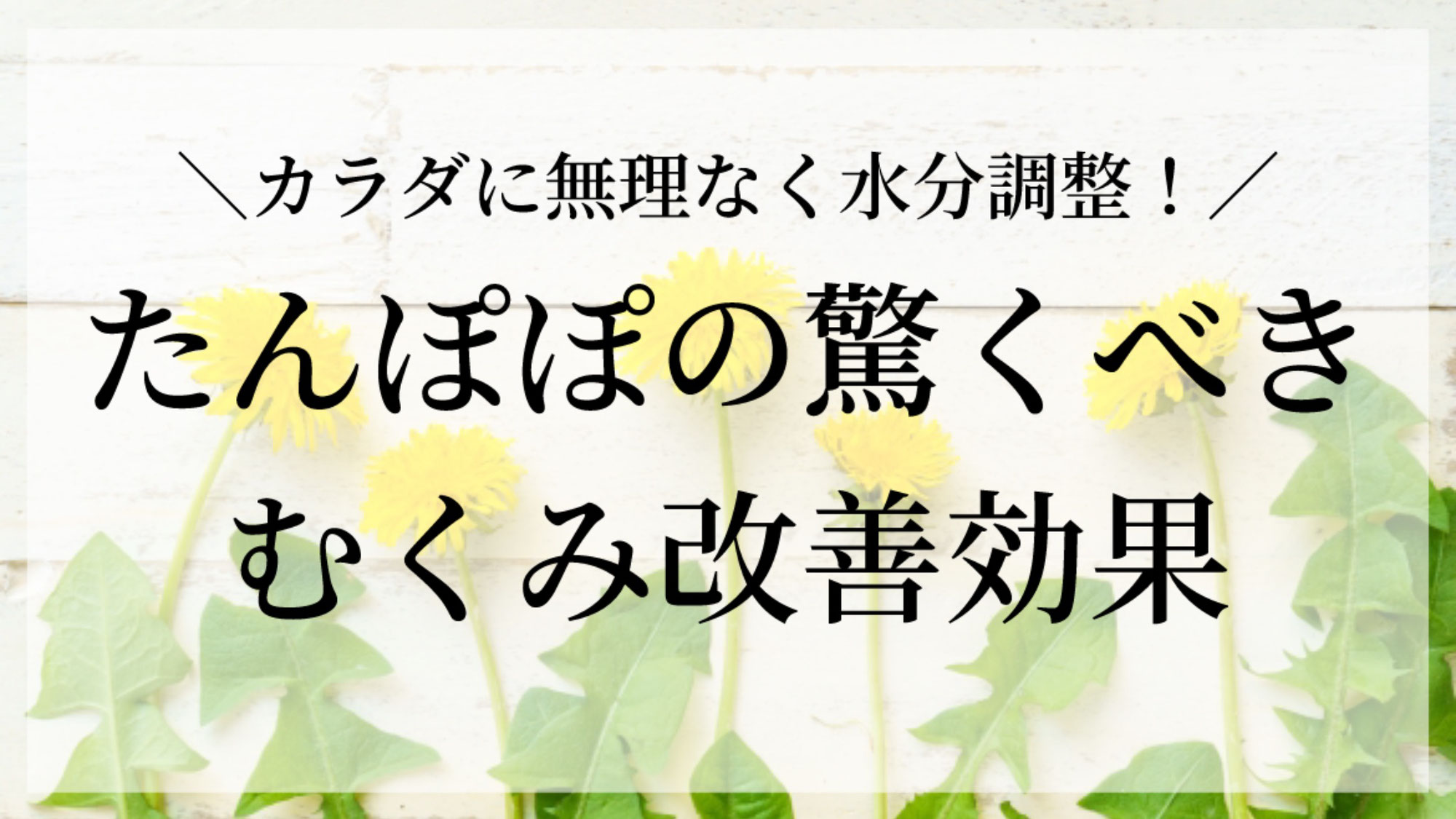 たんぽぽの驚くべきむくみ改善効果！