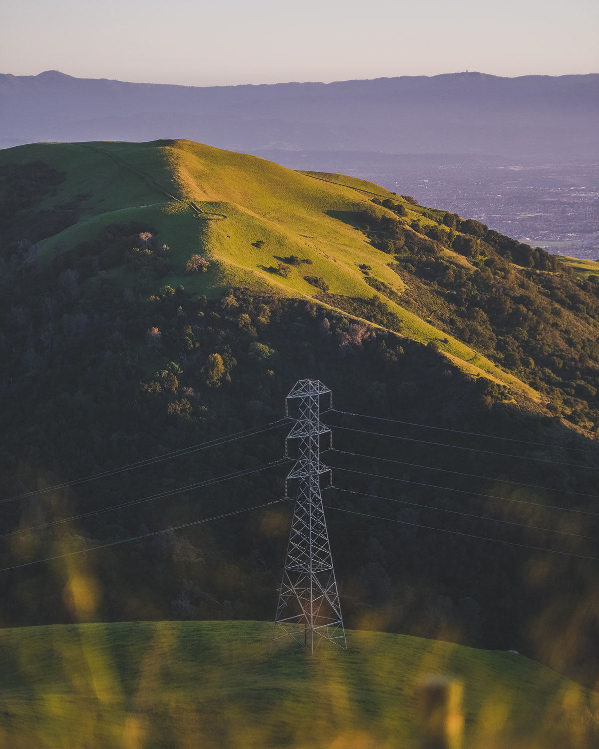 Questioni rilevanti tra Cooperative elettriche storiche e rilascio delle concessioni di distribuzione di energia