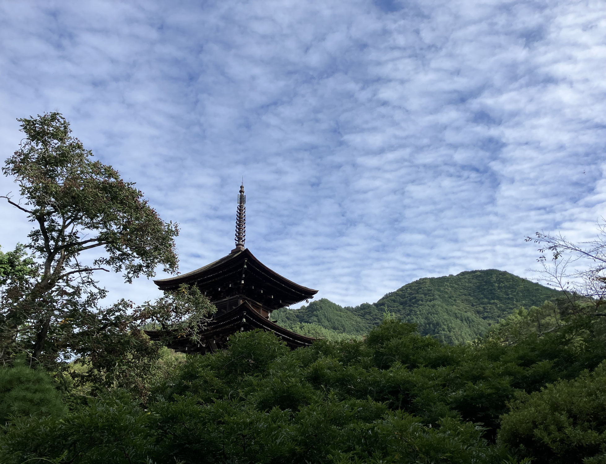 信州上田