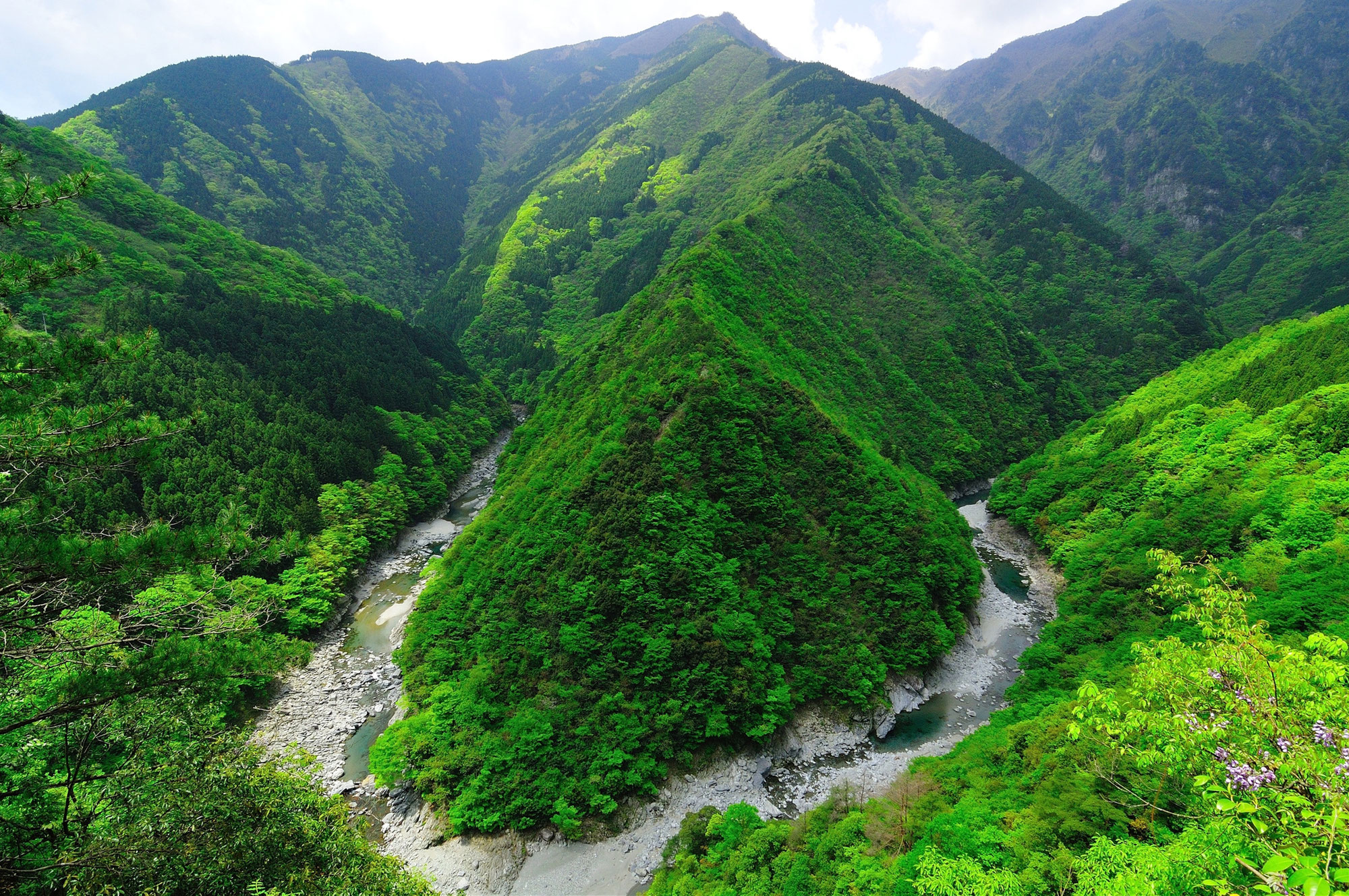 飛騨高山グリーンヒート合同会社