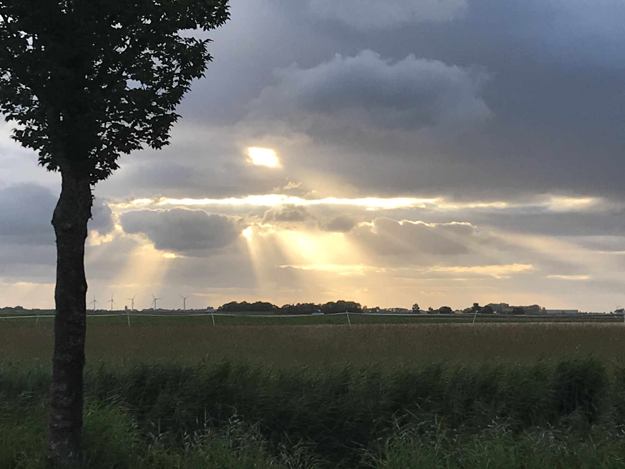 Wat is waarheid?