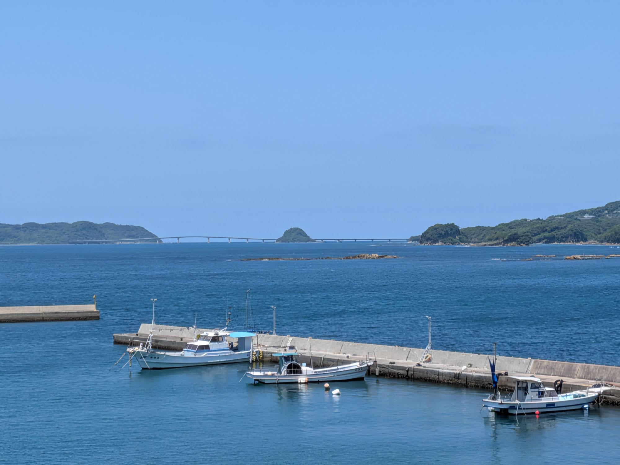 夏に入りました！