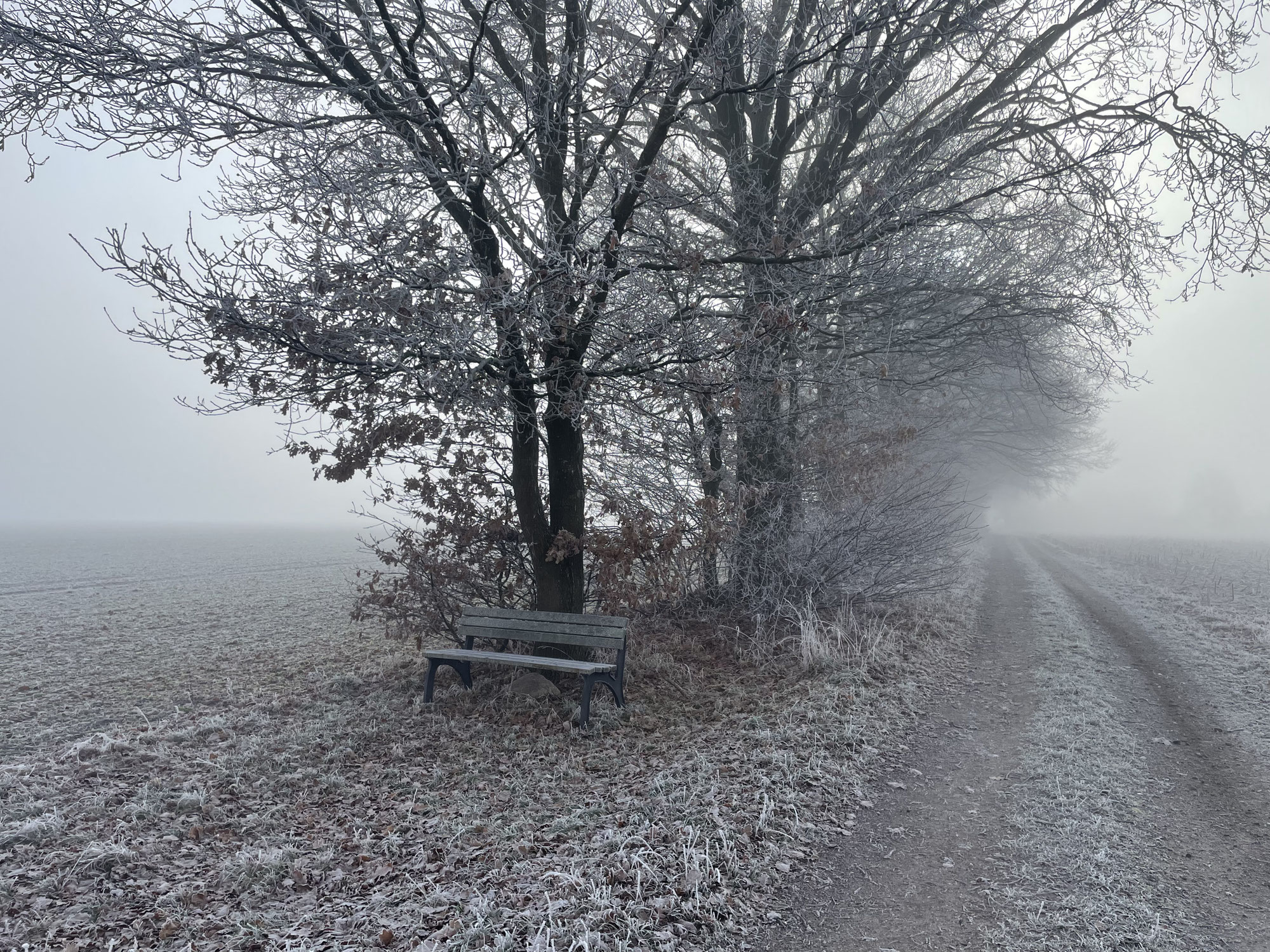 Warum macht Selbstoptimierung eigentlich müde?