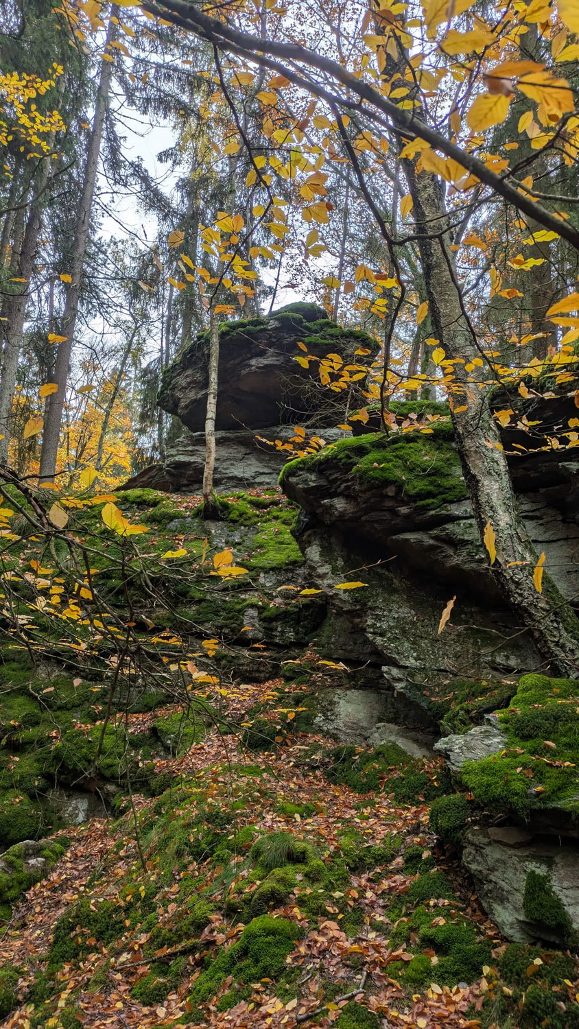 Herbstwanderung zur Ringelfelsenhütte am 26.10.2025
