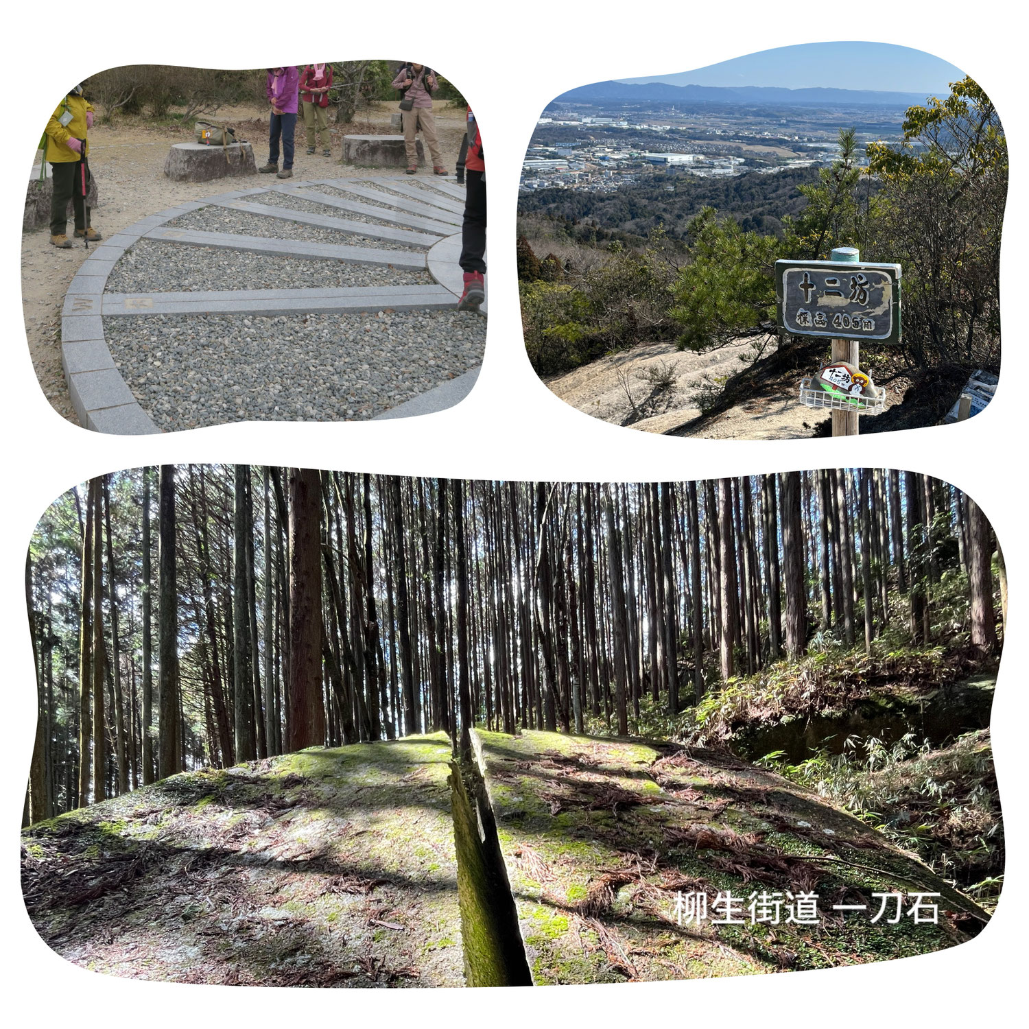 2026年3月