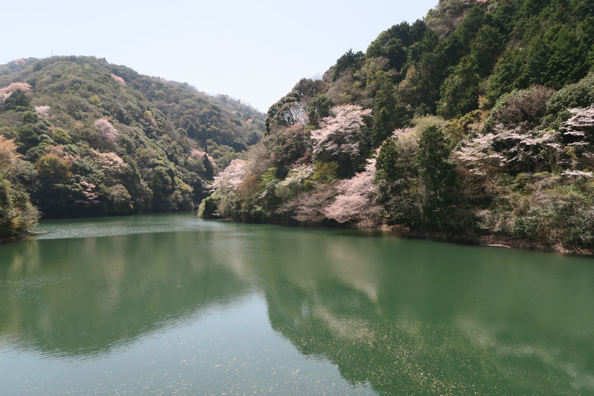 鳥取池（下見）